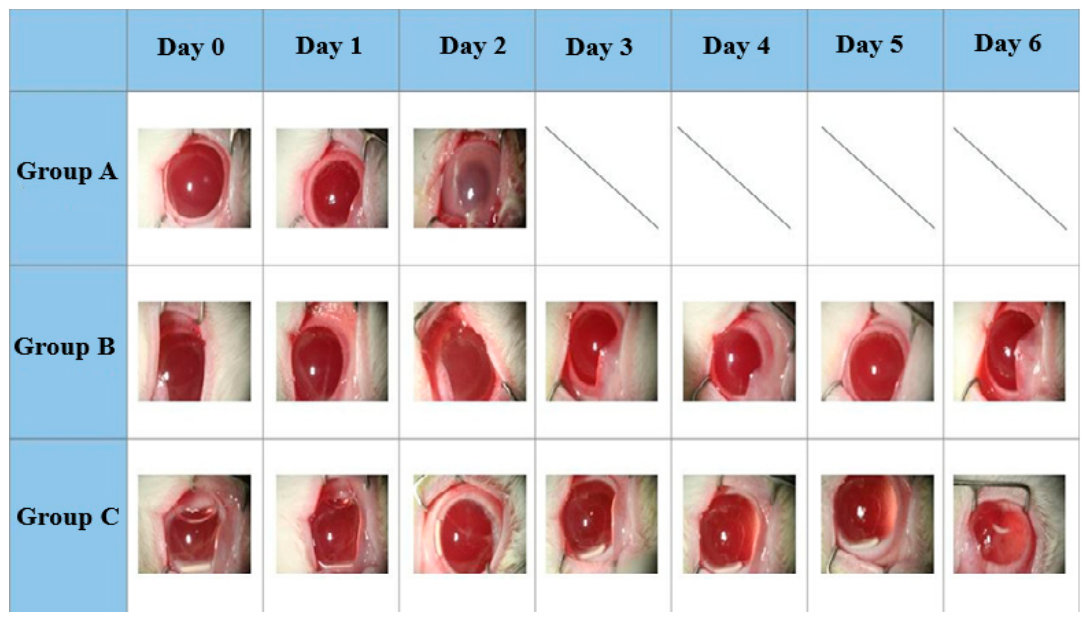 Preprints 236073 g004