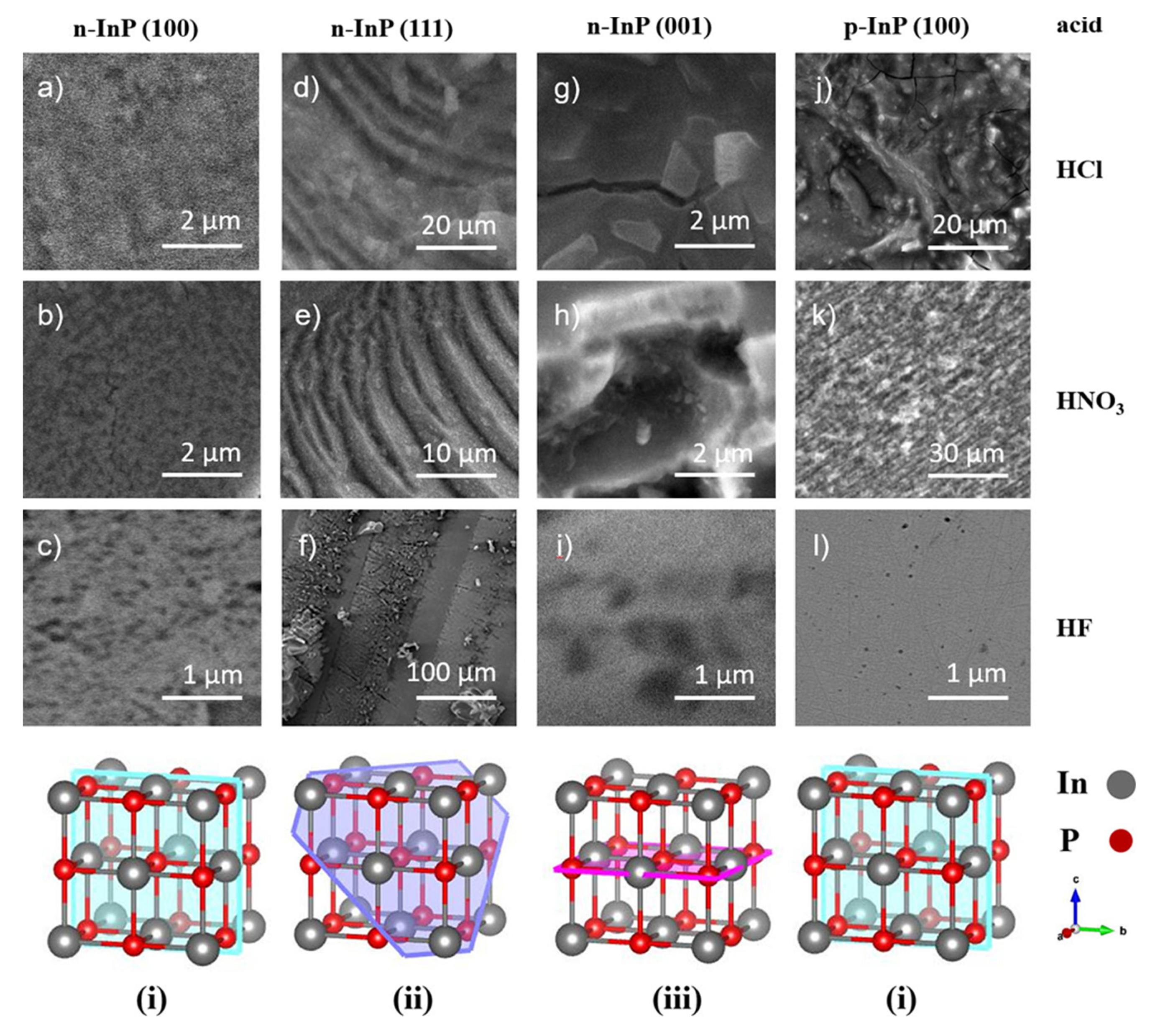 Preprints 170048 g001