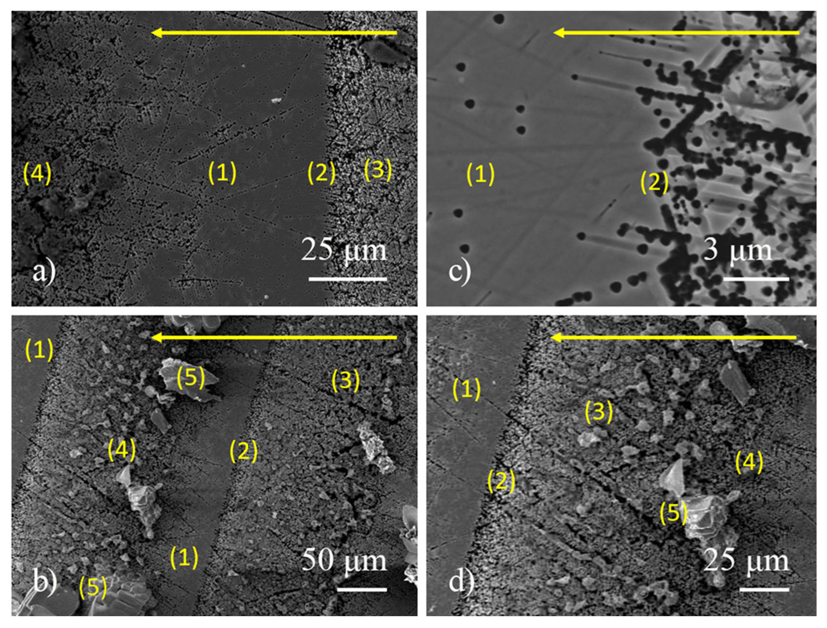 Preprints 170048 g002