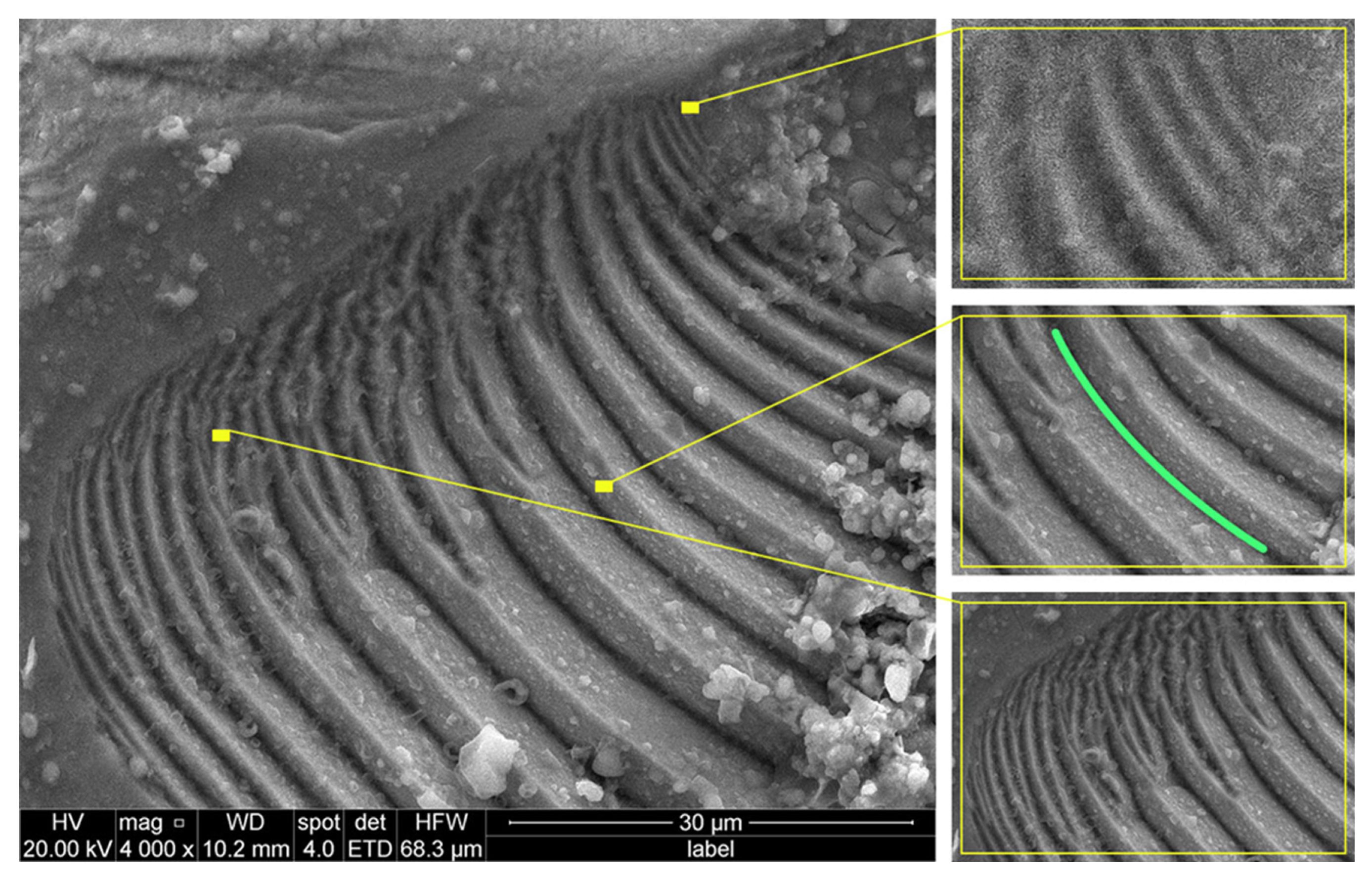 Preprints 170048 g003