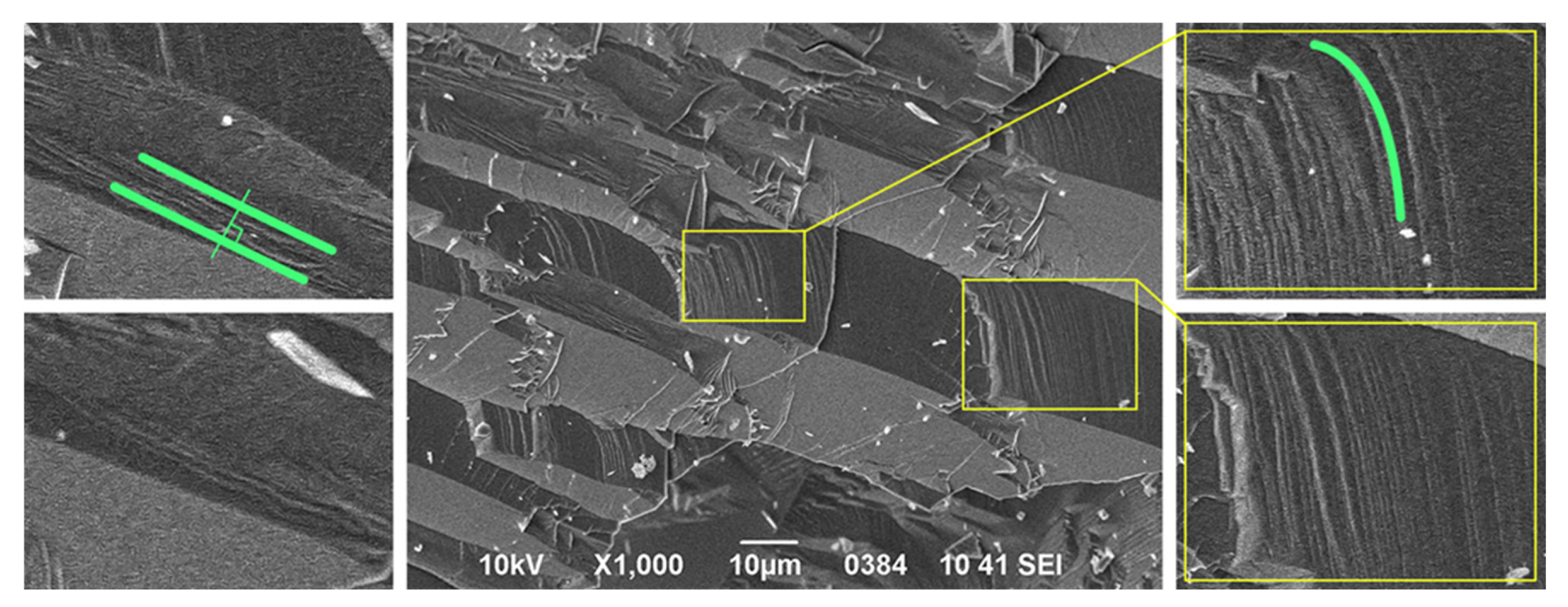 Preprints 170048 g004