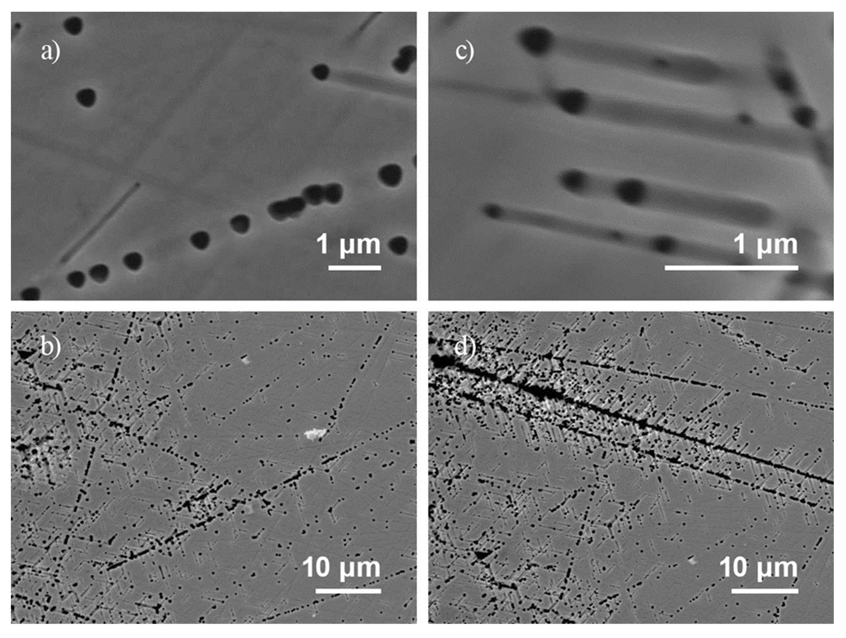Preprints 170048 g005