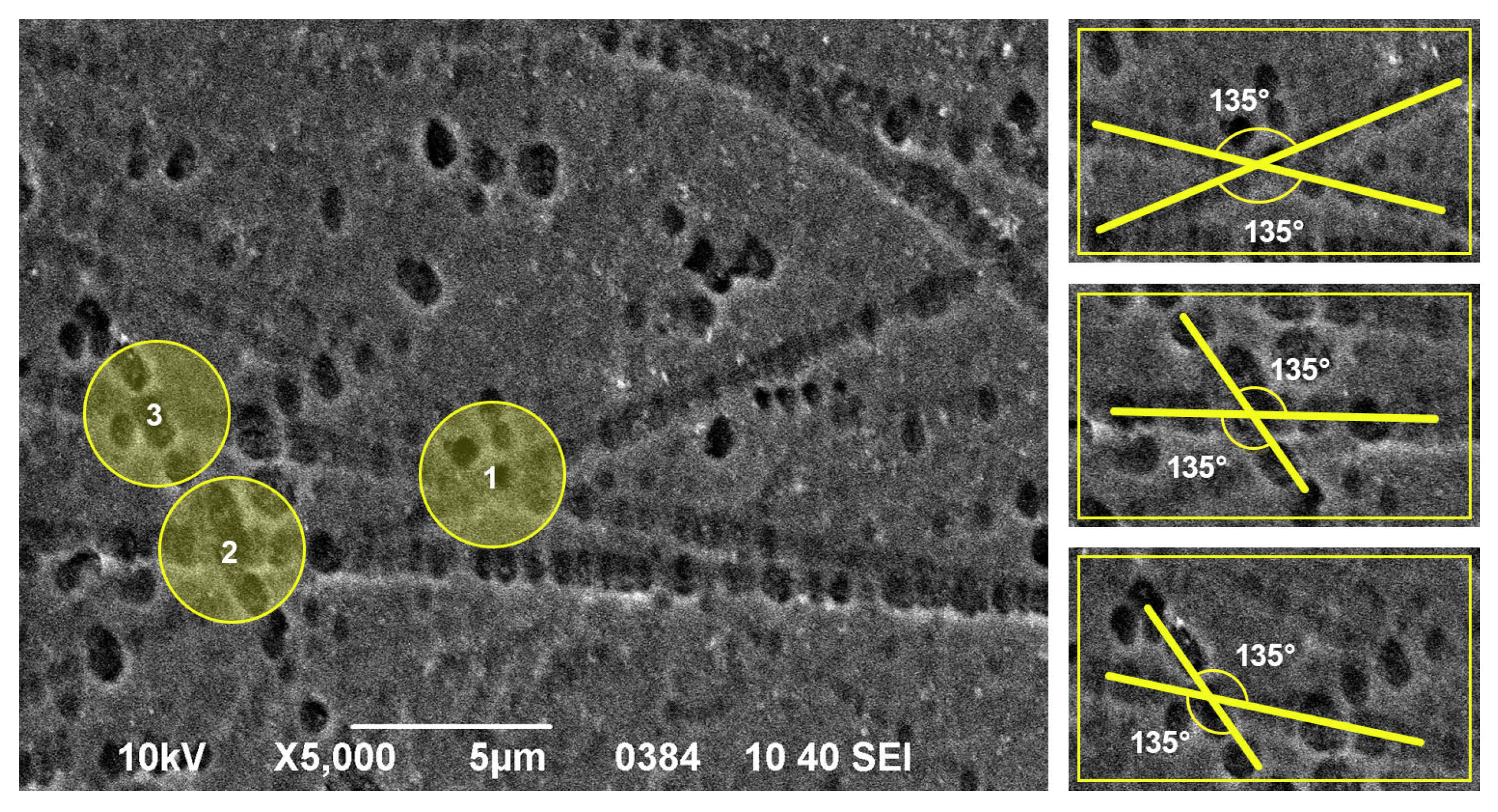 Preprints 170048 g006
