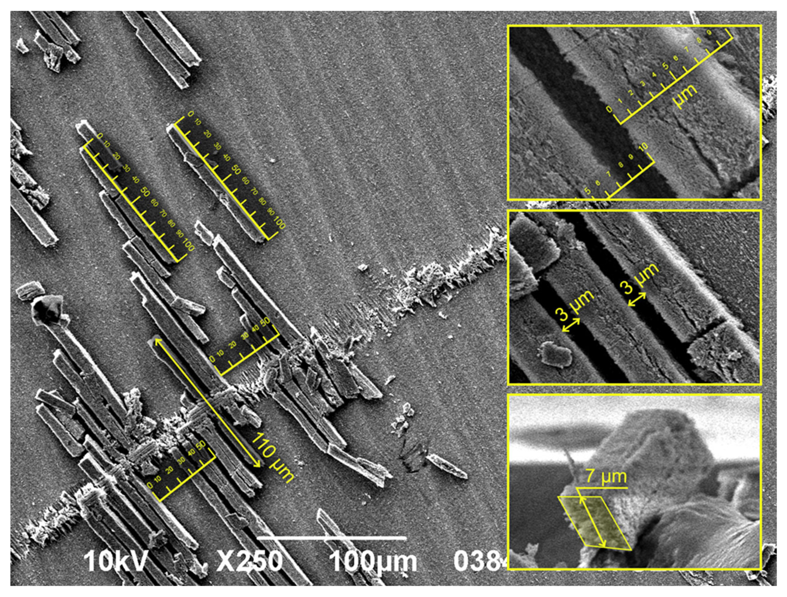 Preprints 170048 g007