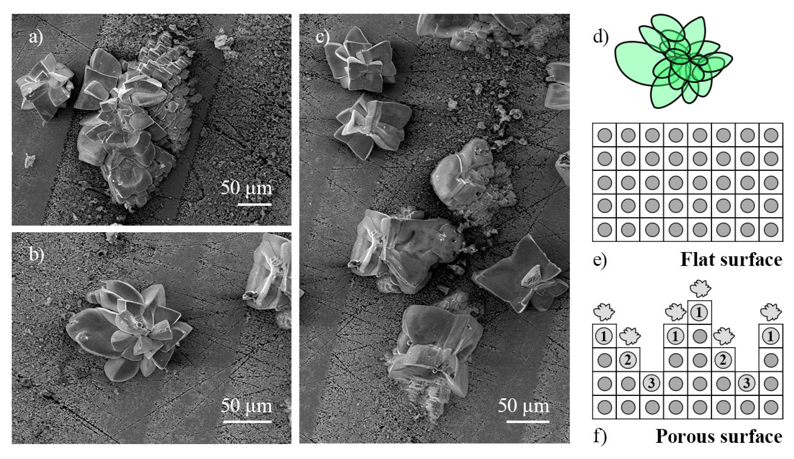 Preprints 170048 g008