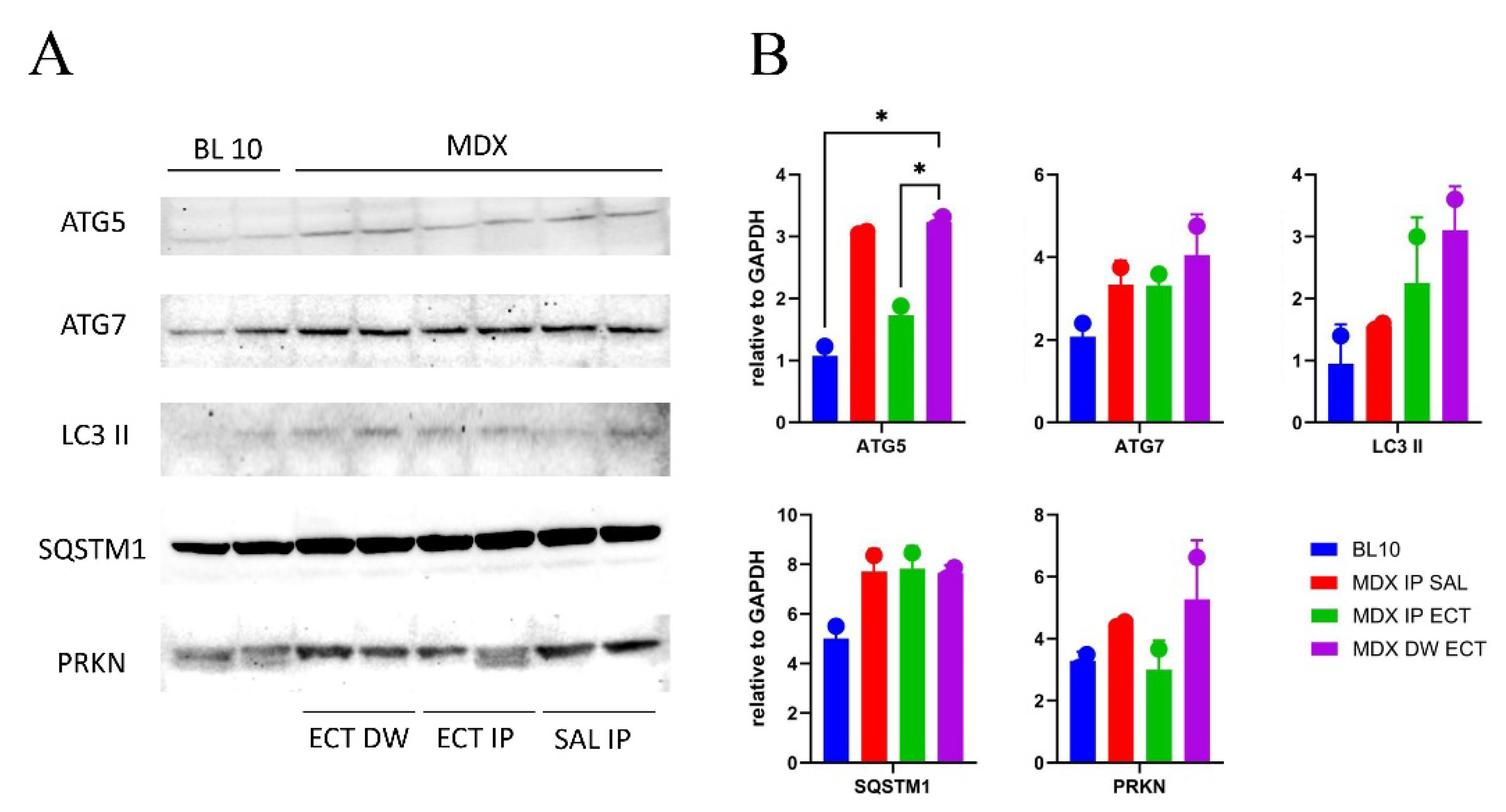 Preprints 109896 g003