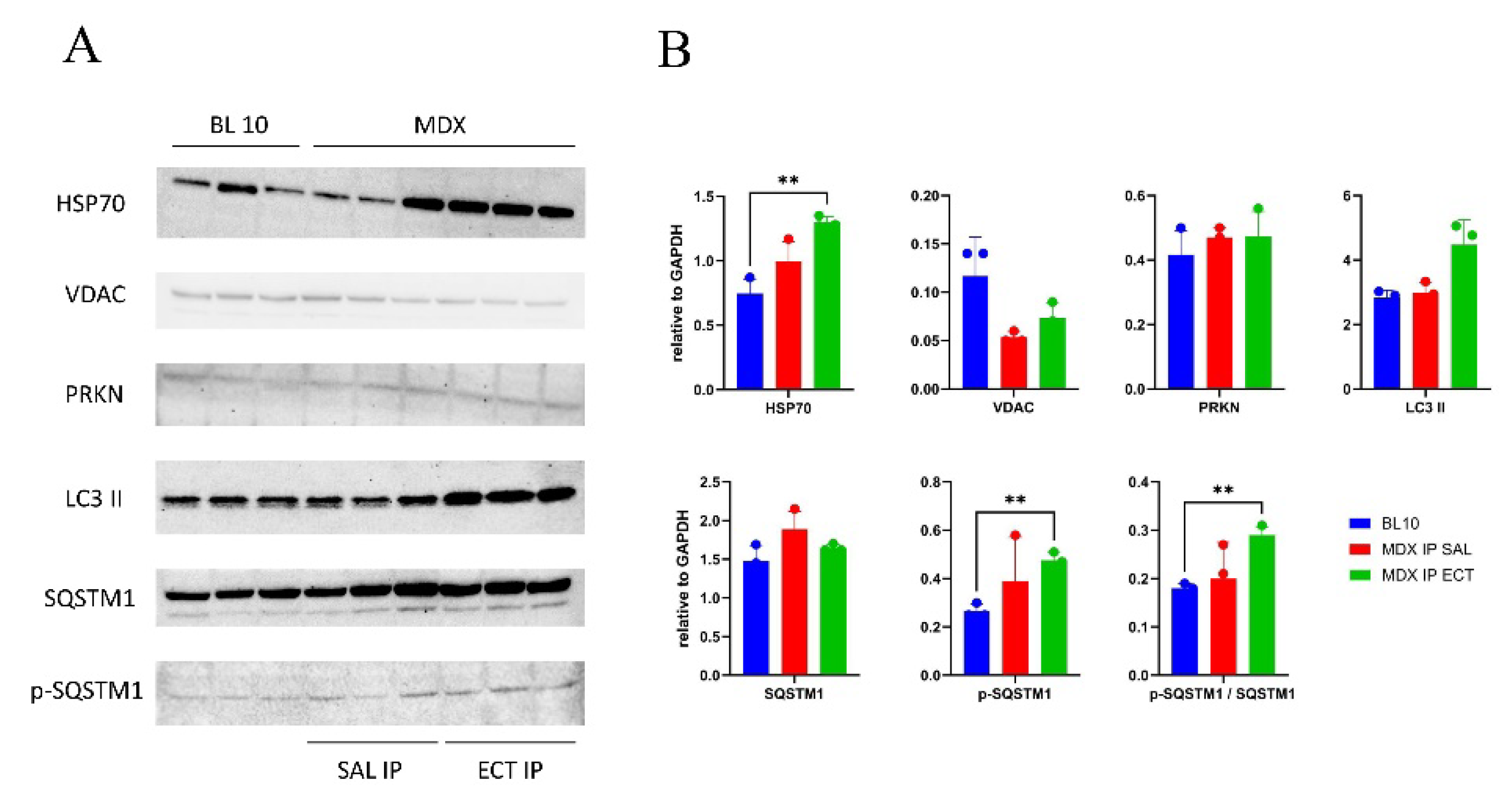 Preprints 109896 g004