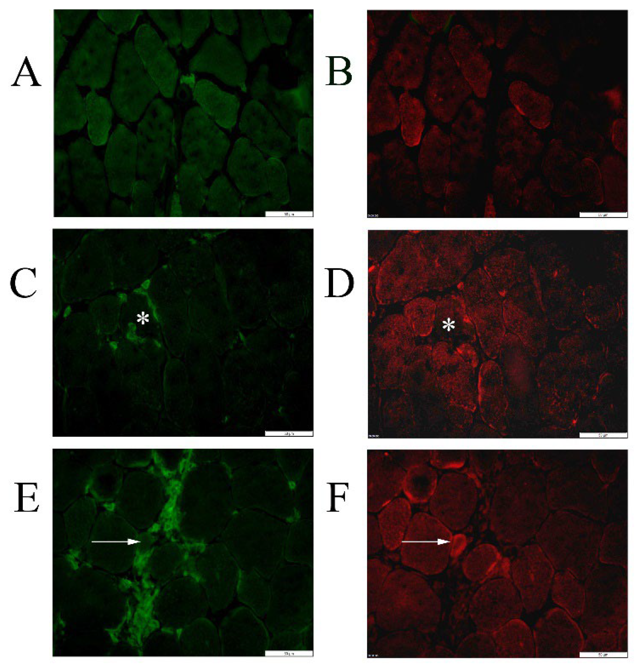 Preprints 109896 g005