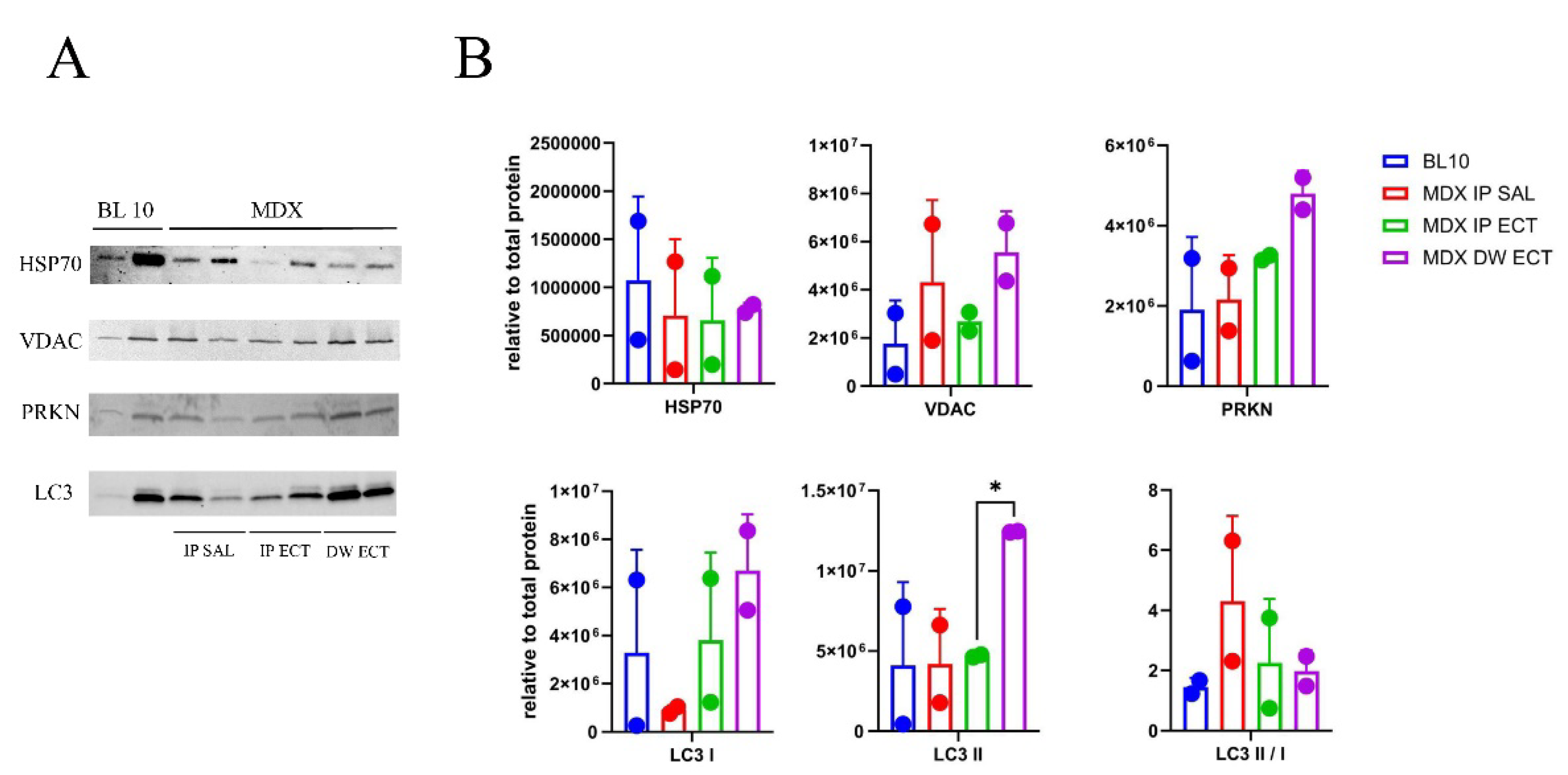 Preprints 109896 g006