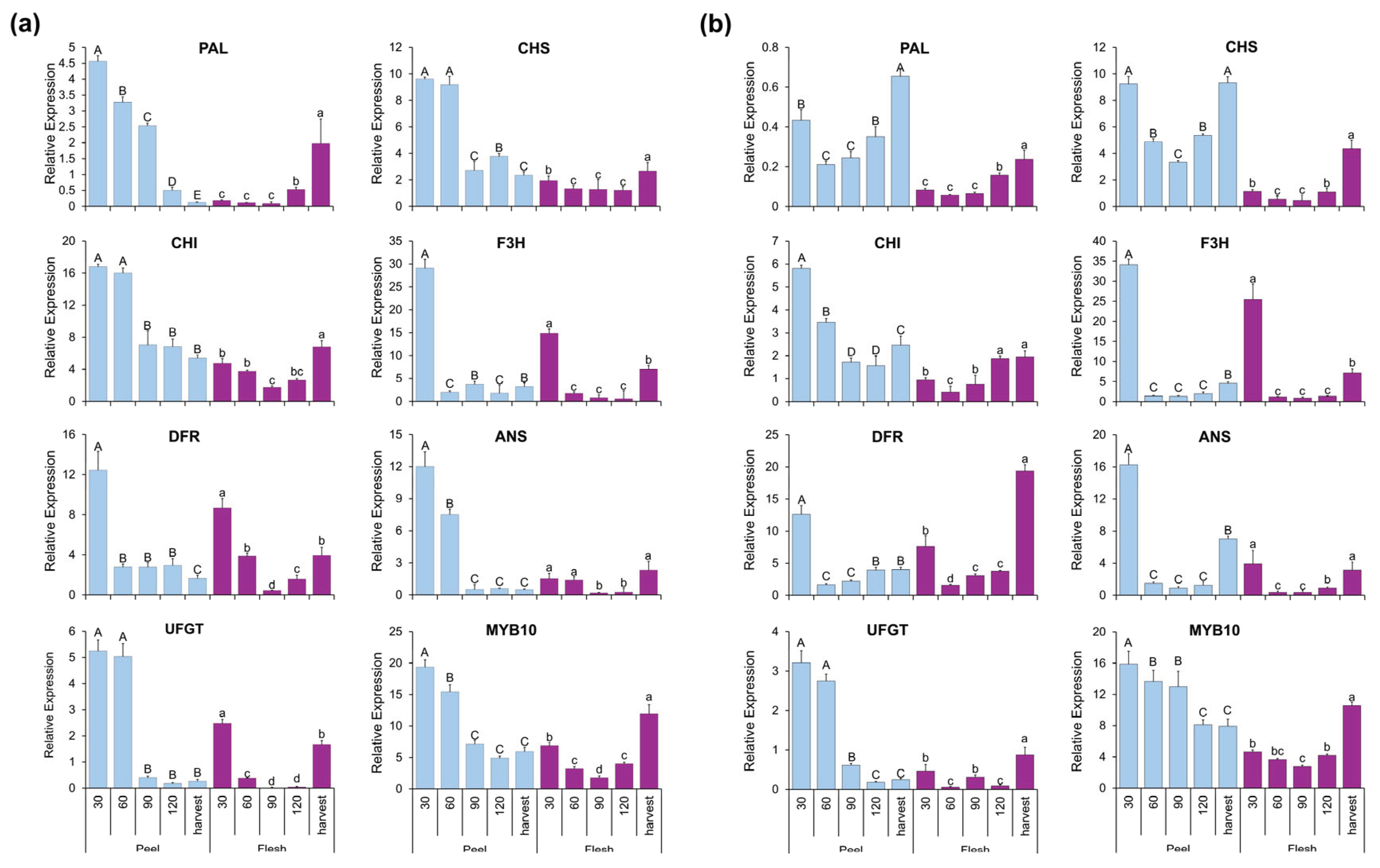 Preprints 217660 g007