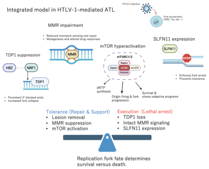 Preprints 227467 g001 Preprints 227467 g001