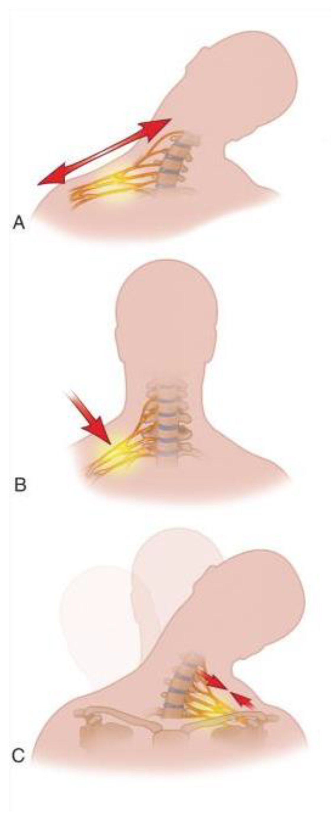 Preprints 150203 g002