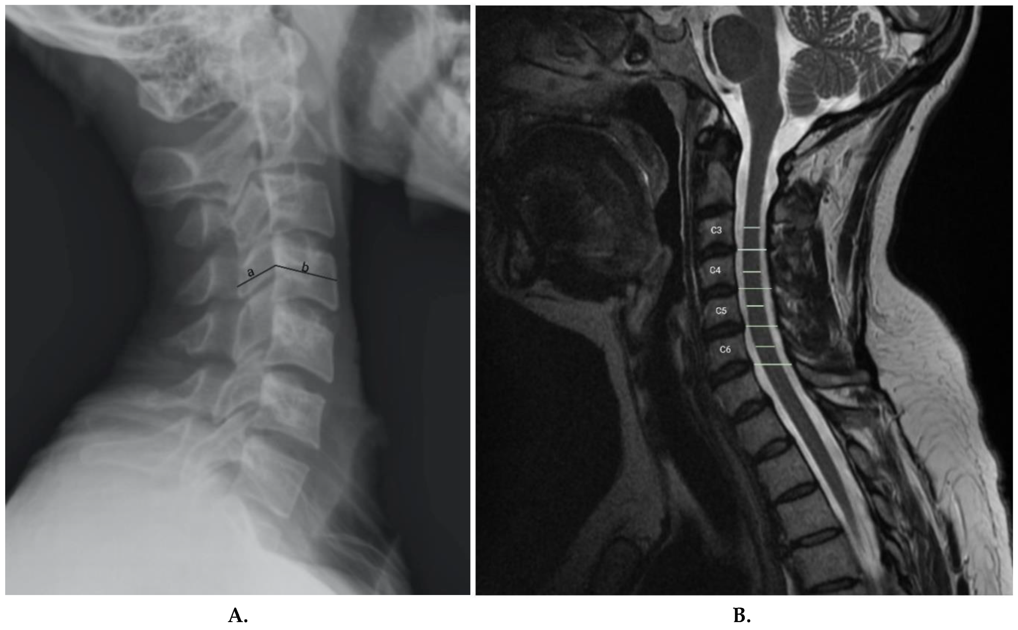 Preprints 150203 g003