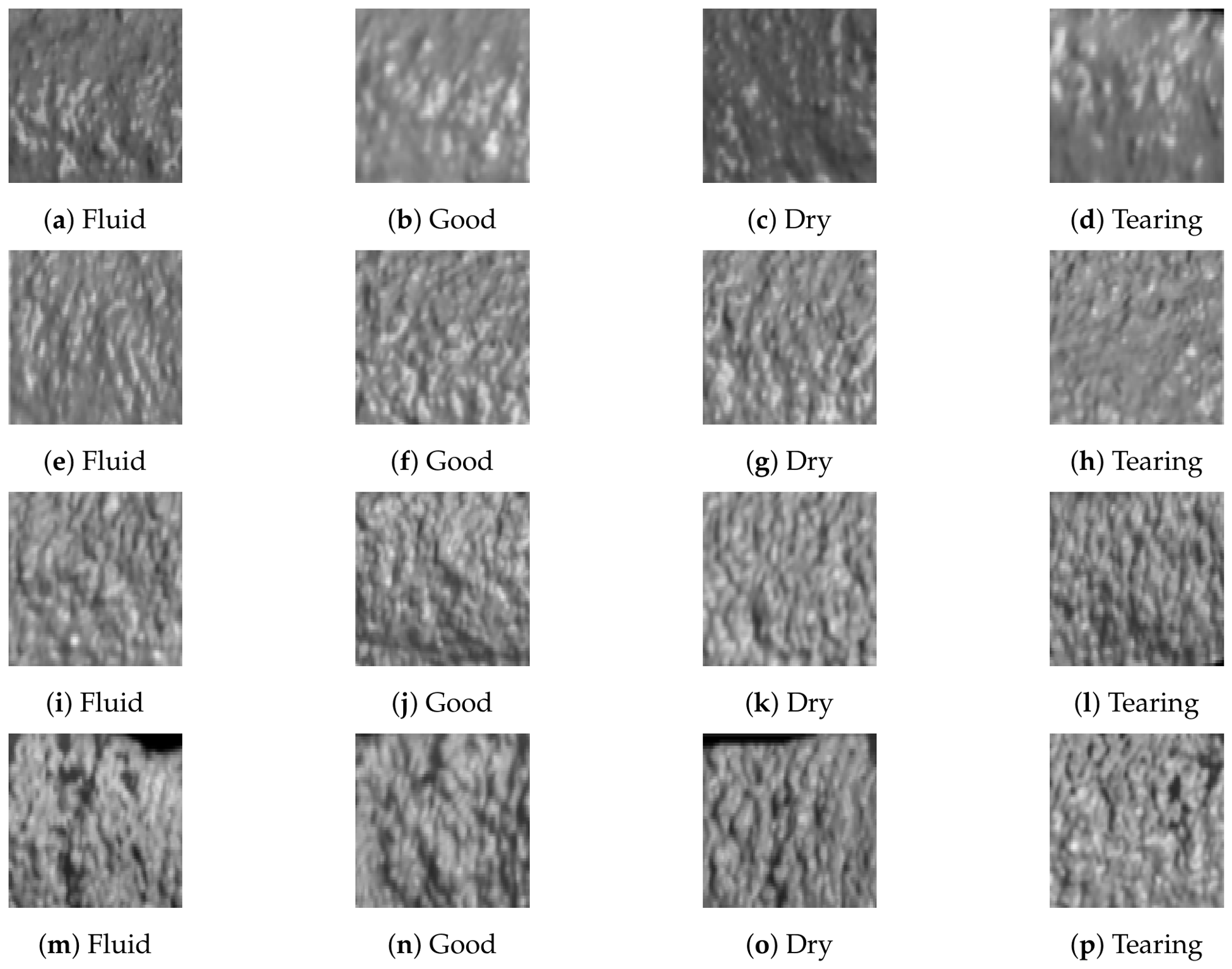 Preprints 224187 g002
