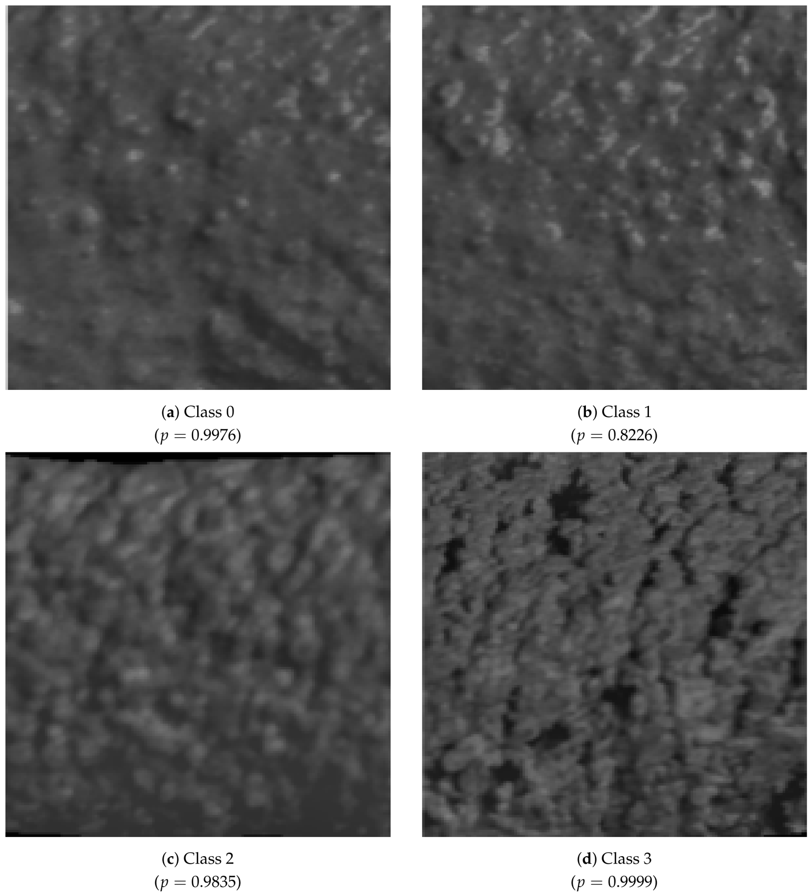 Preprints 224187 g007