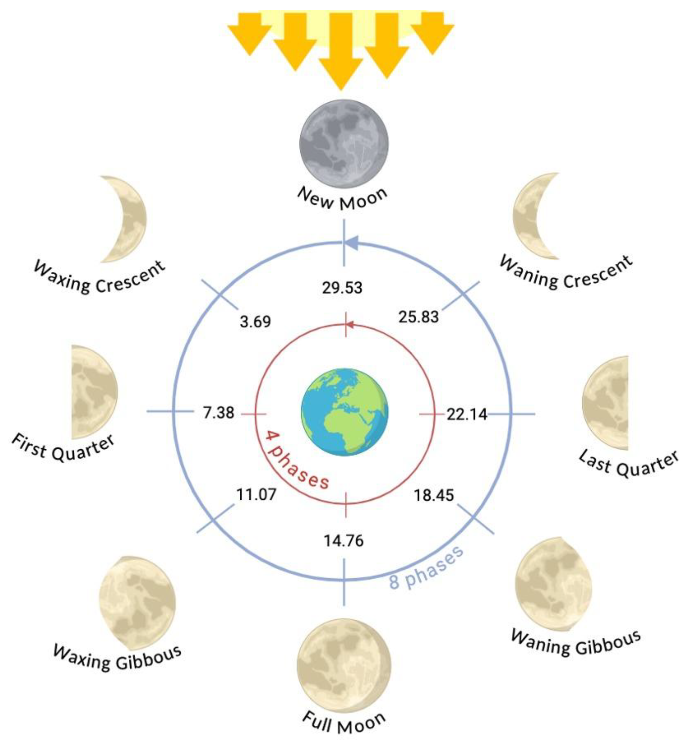 Preprints 182121 g001
