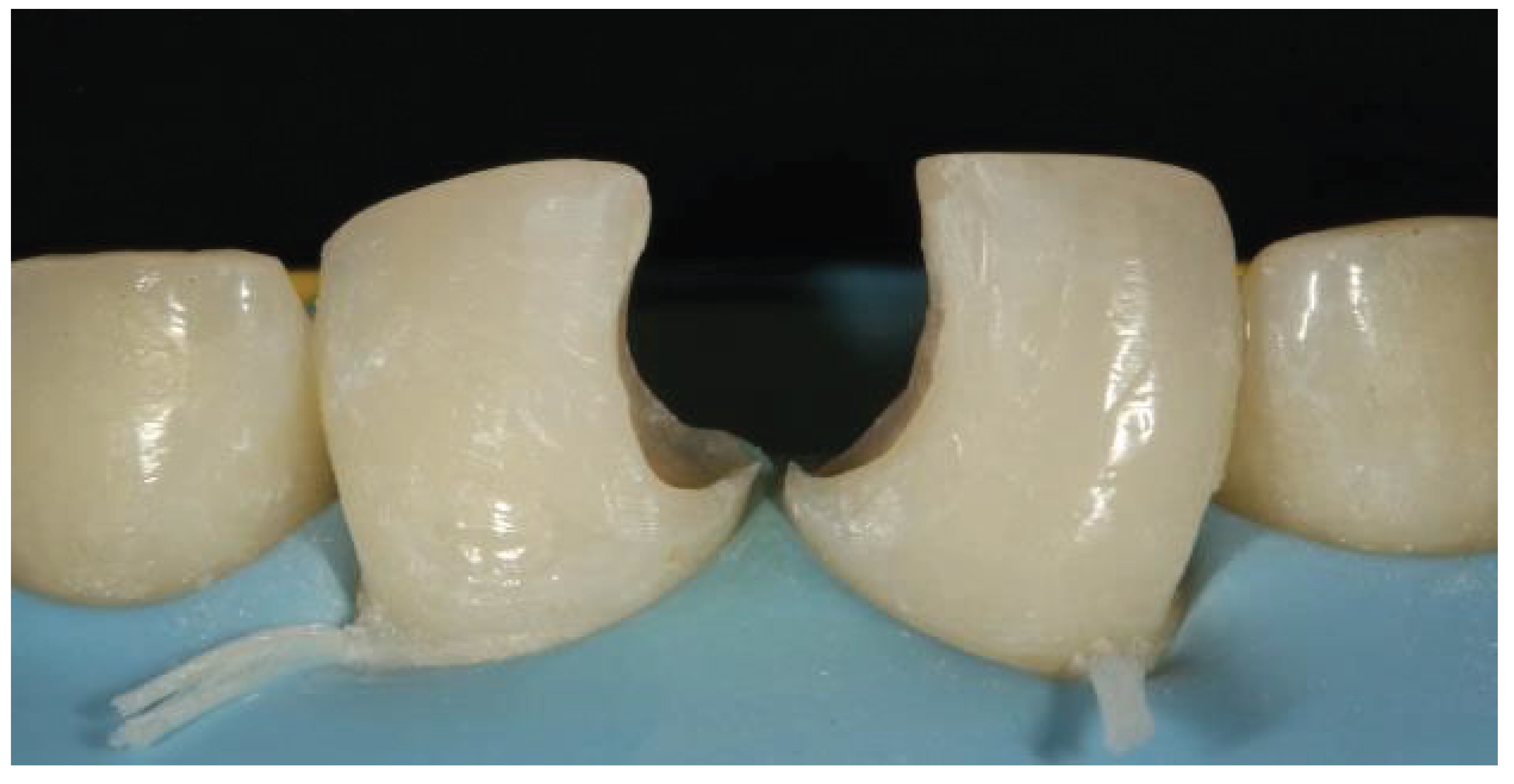 Preprints 167201 g019