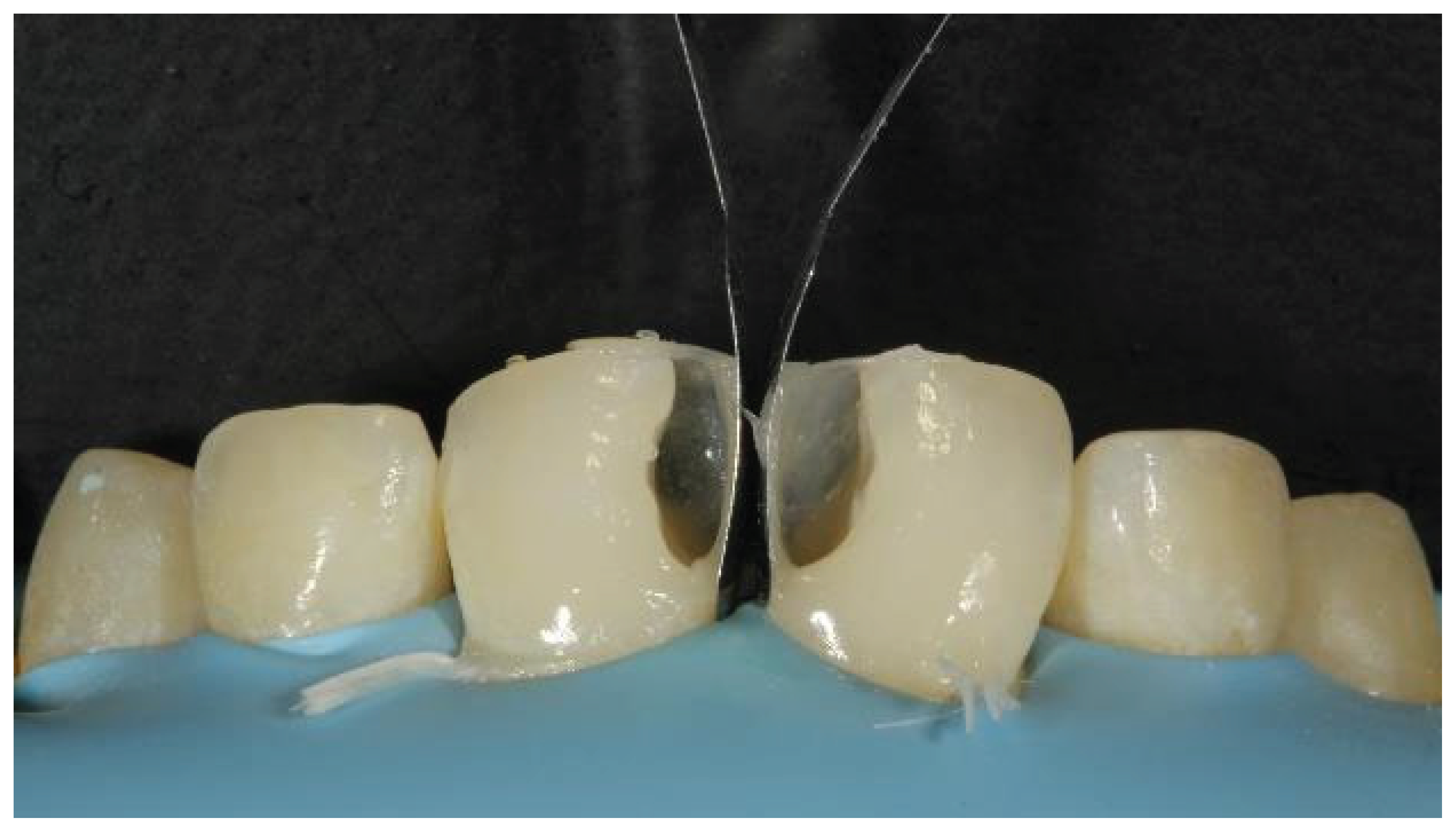 Preprints 167201 g022