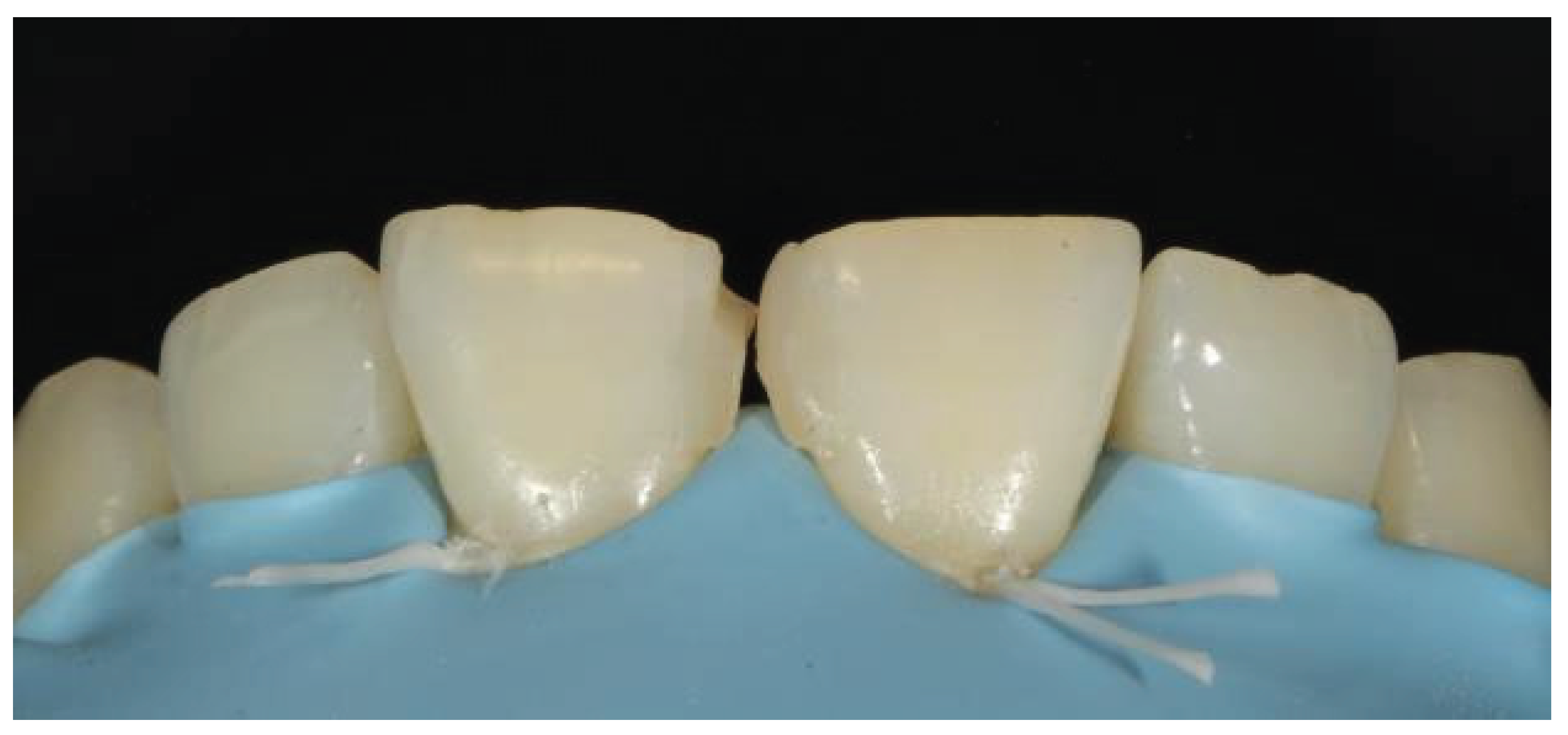 Preprints 167201 g029