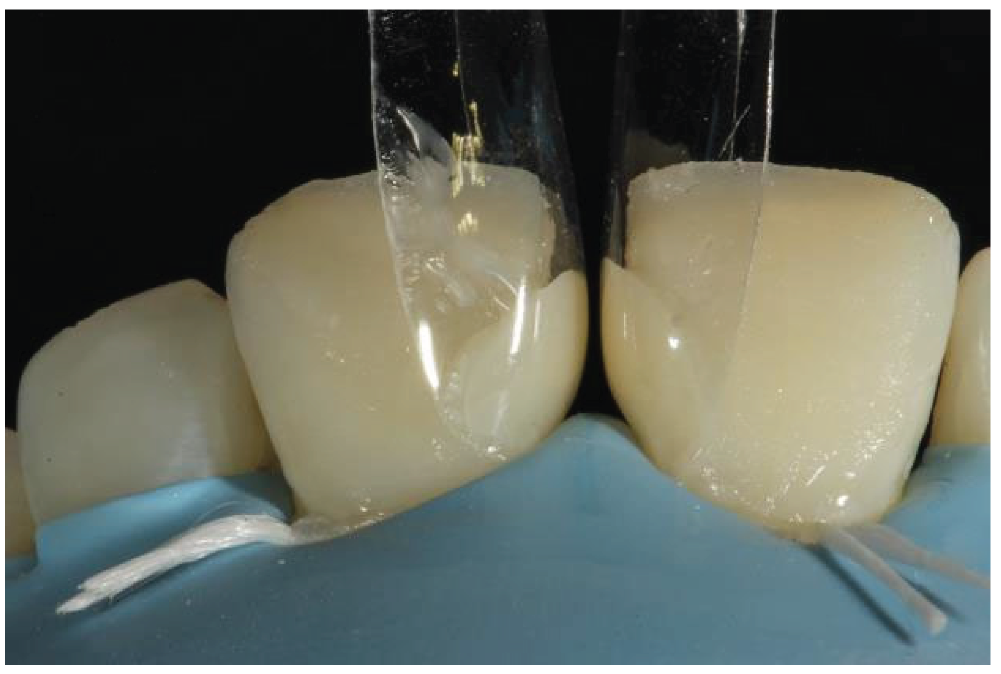 Preprints 167201 g034