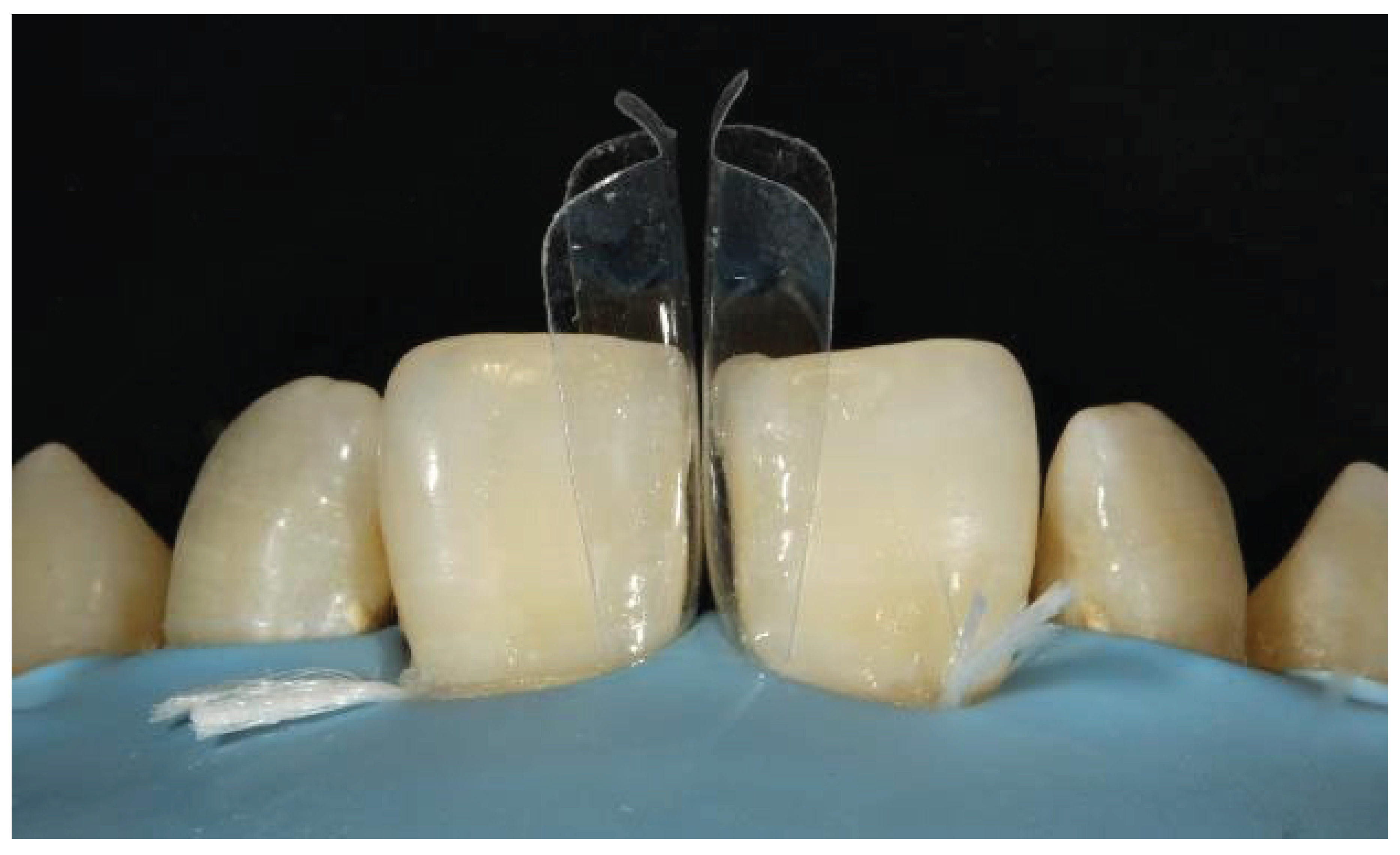 Preprints 167201 g043