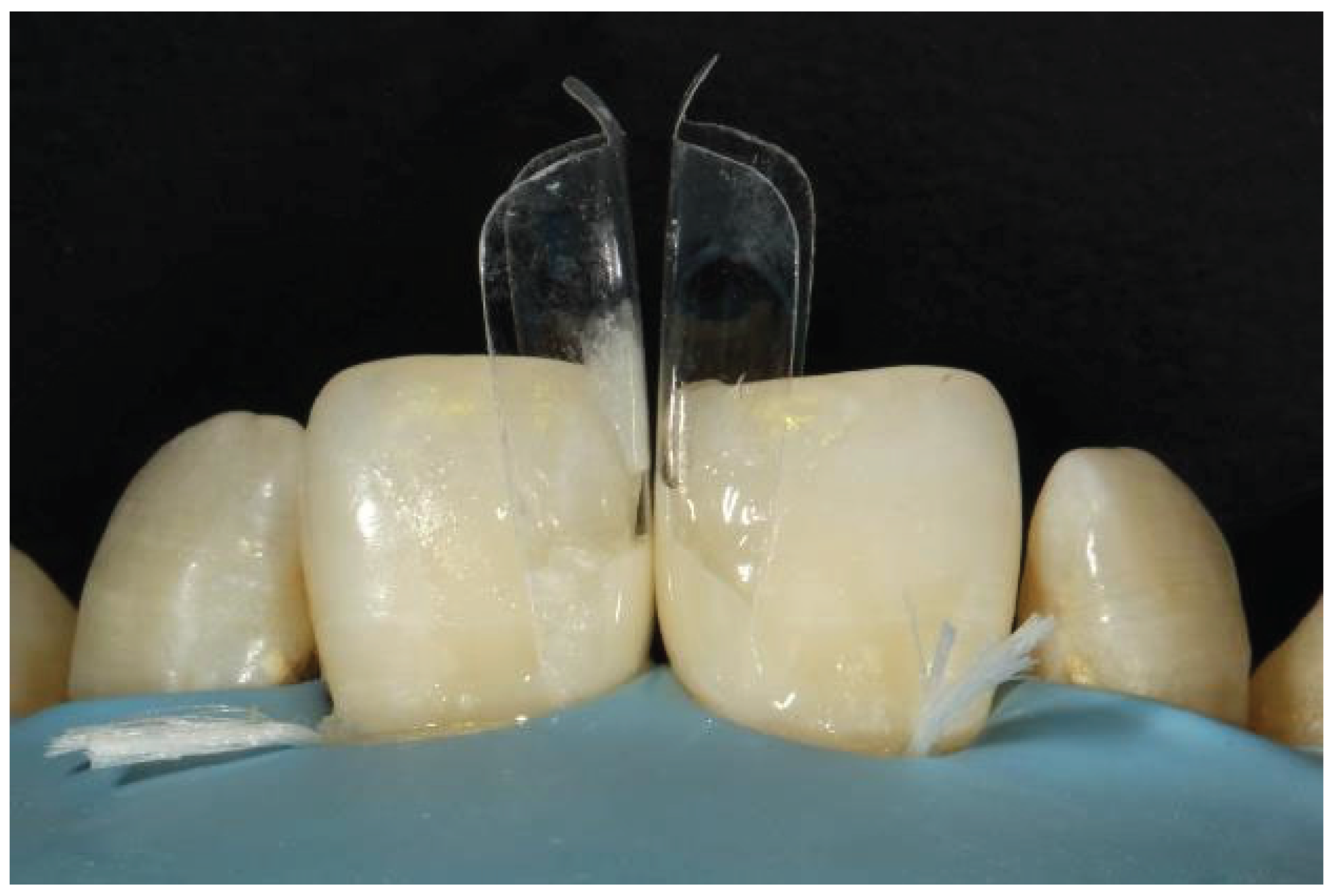 Preprints 167201 g044