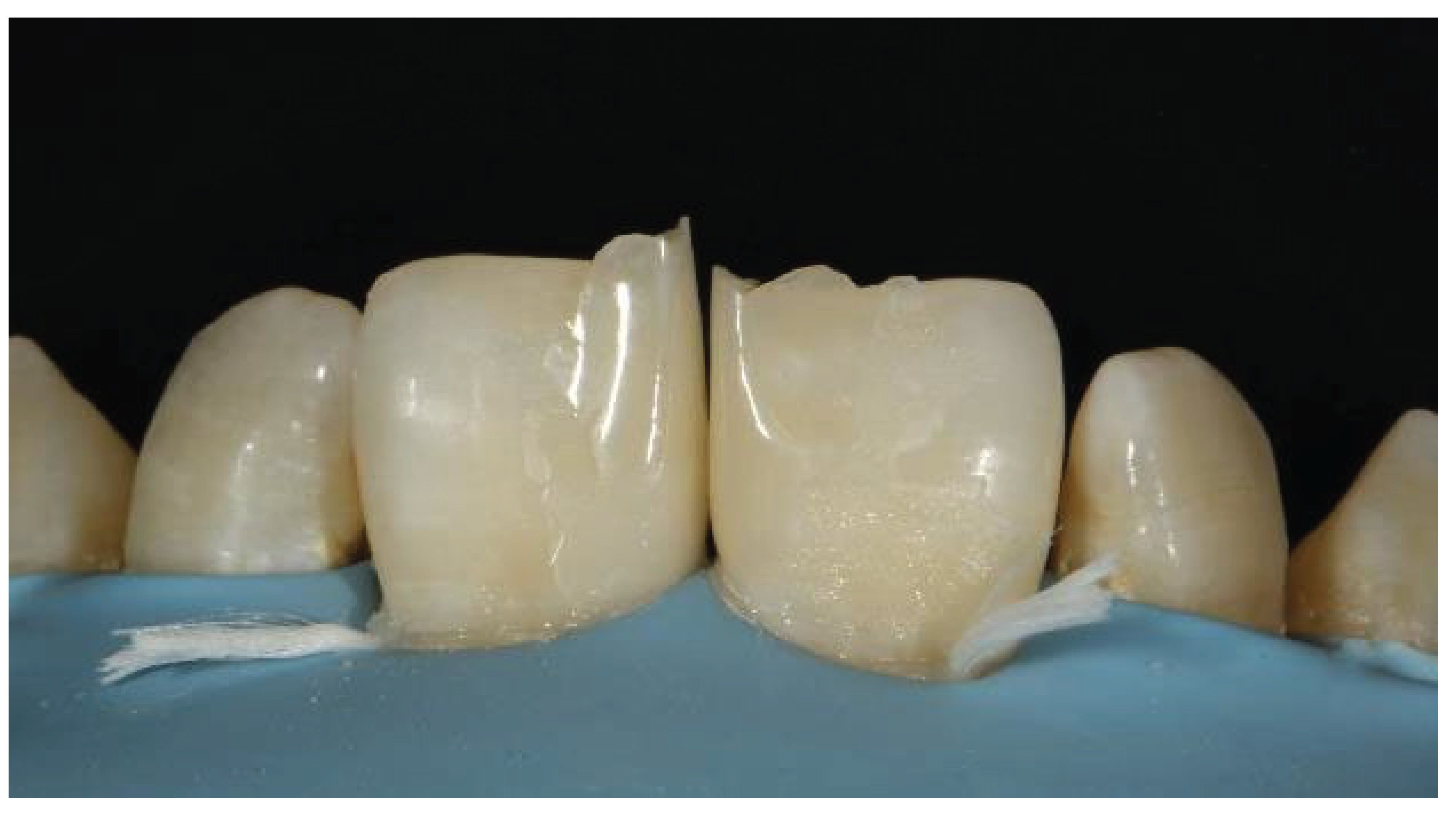 Preprints 167201 g045