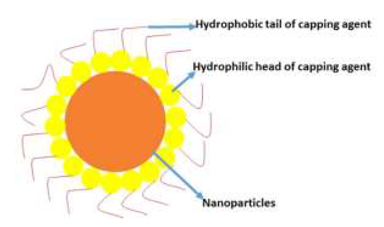 Preprints 144902 g001