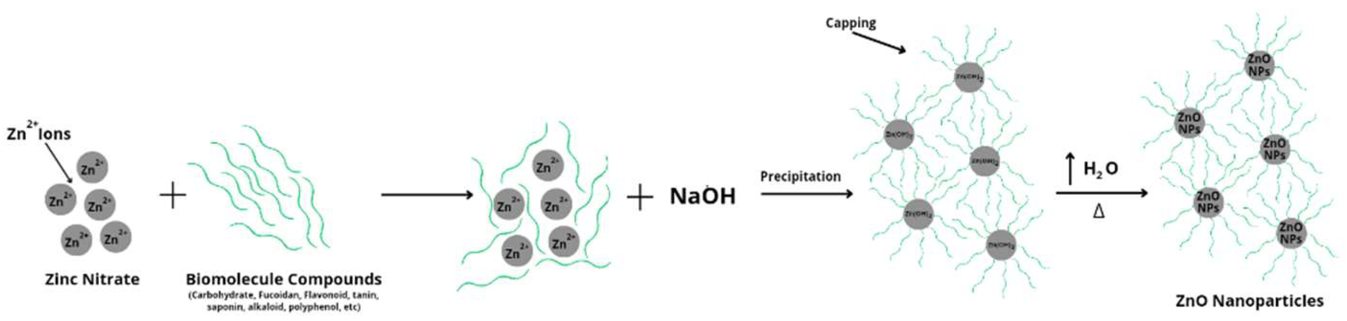 Preprints 144902 g002