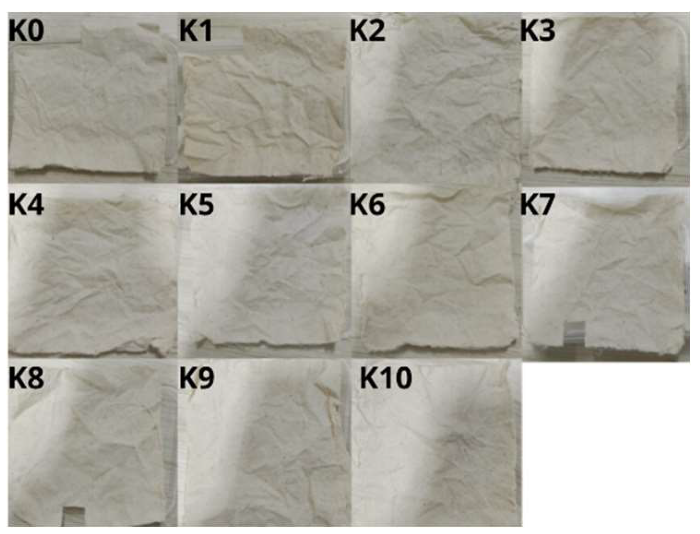 Preprints 144902 g003