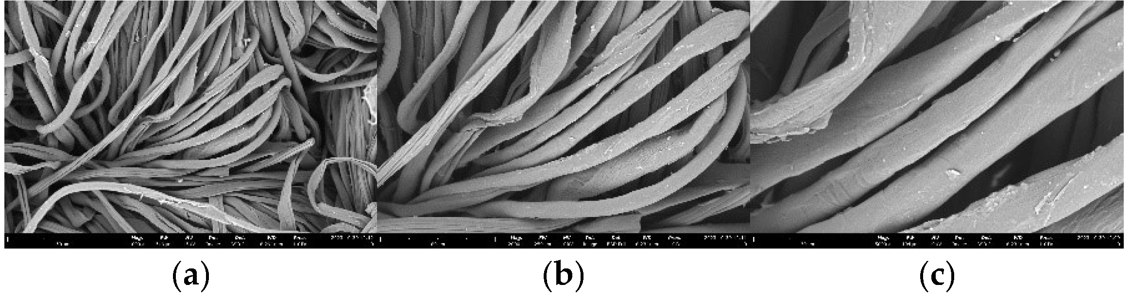 Preprints 144902 g009