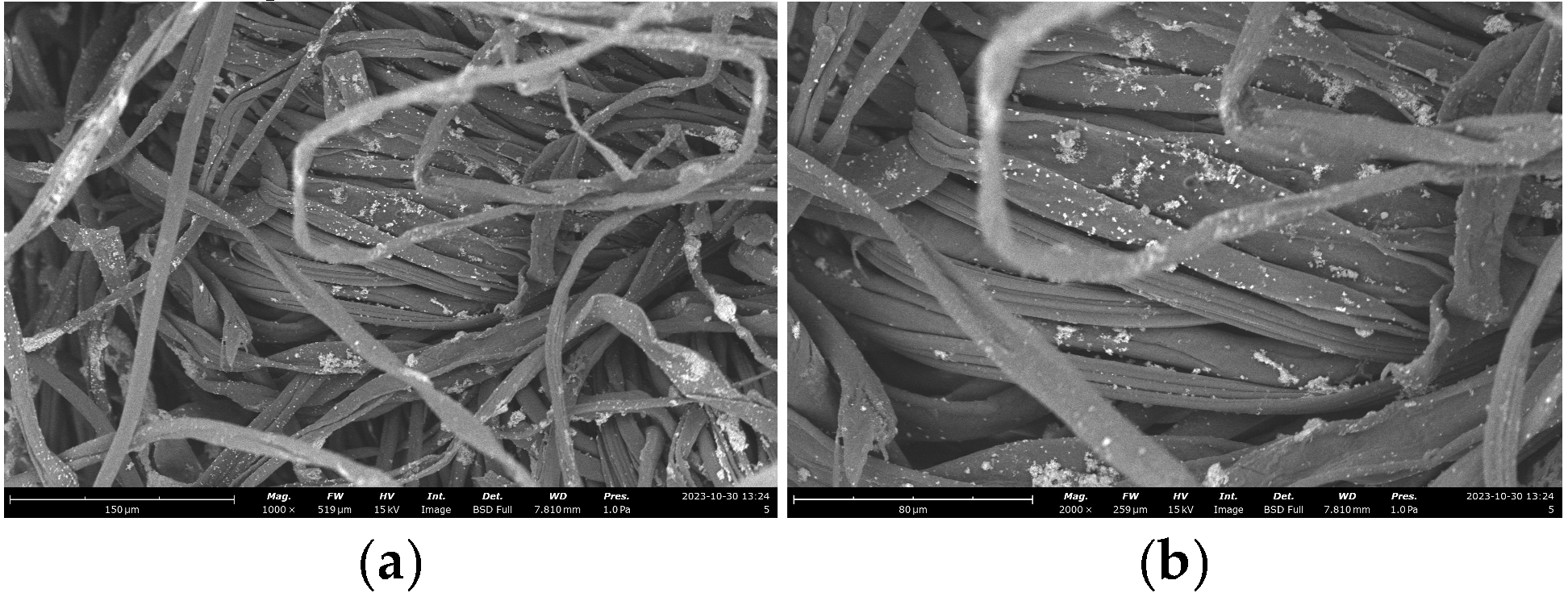 Preprints 144902 g013a