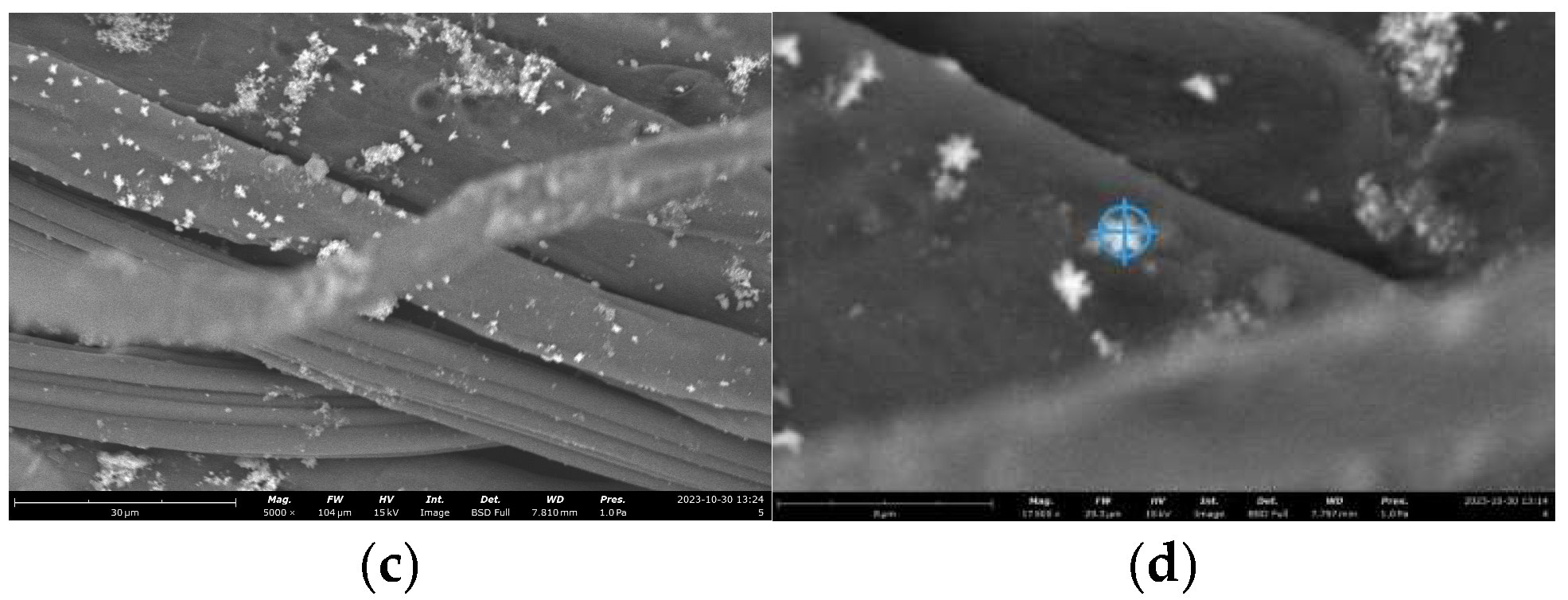 Preprints 144902 g013b