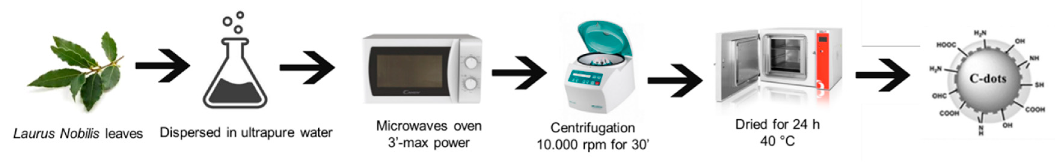 Preprints 166076 g001