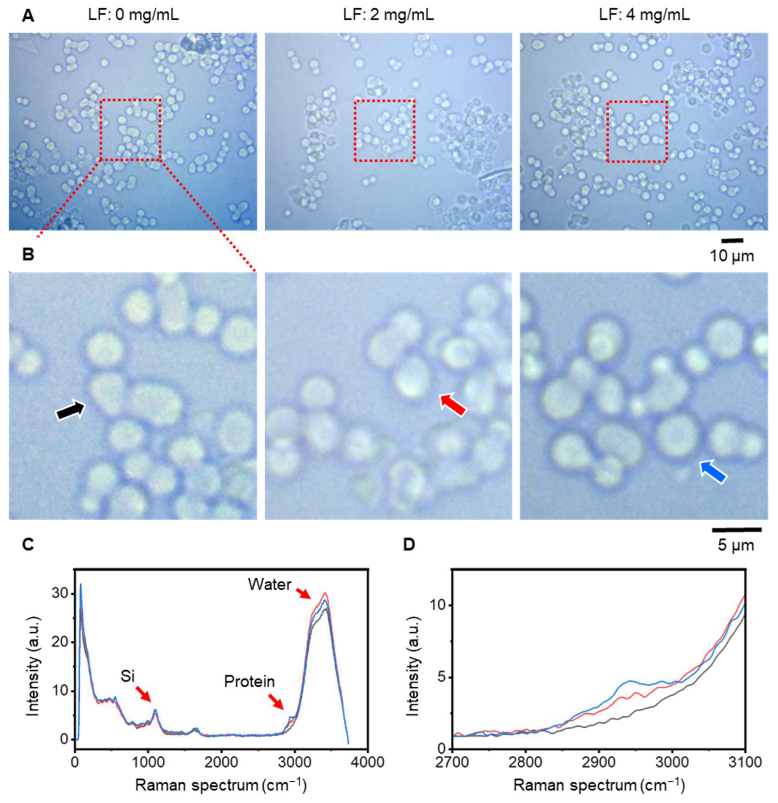 Preprints 148199 g002