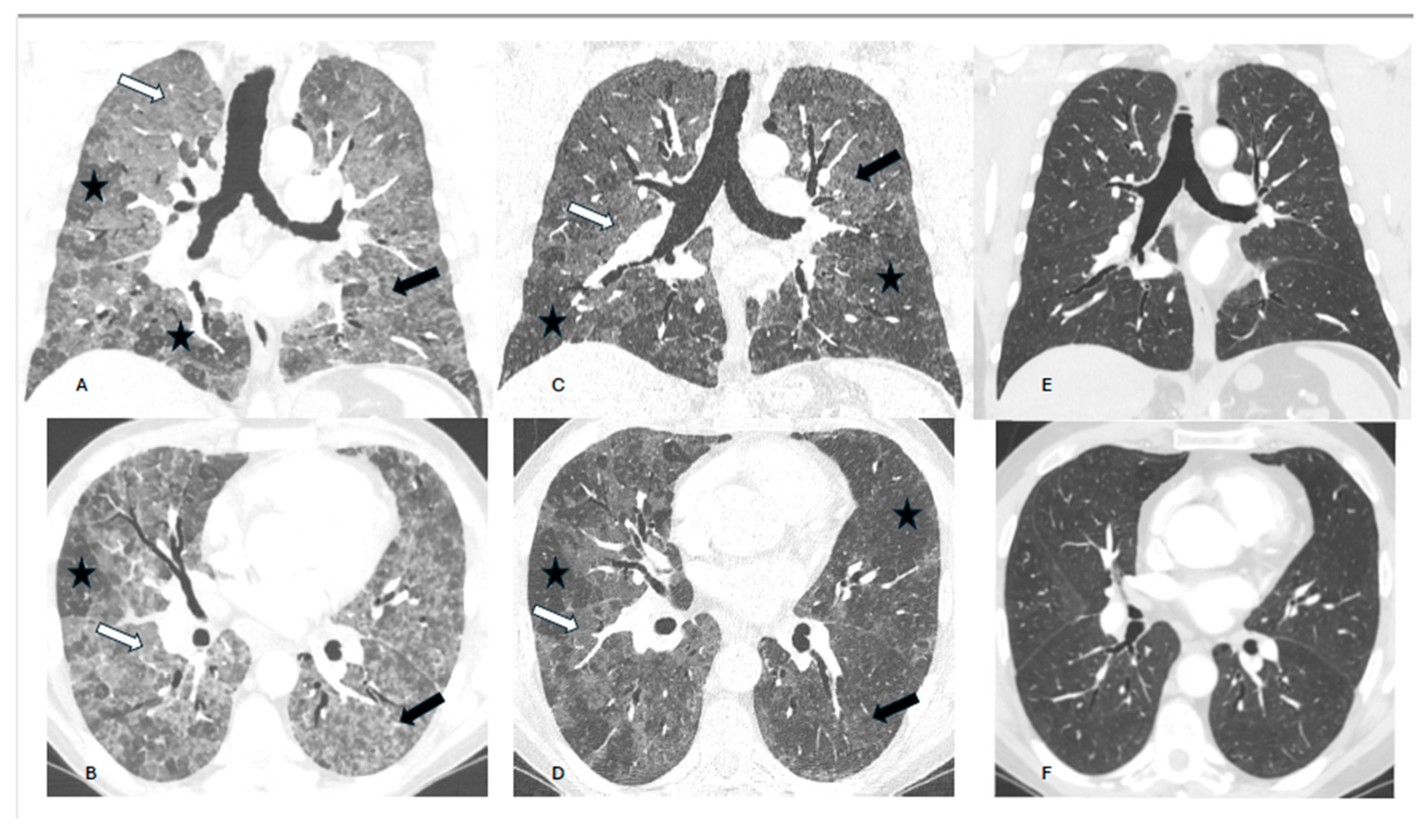 Preprints 142292 g002