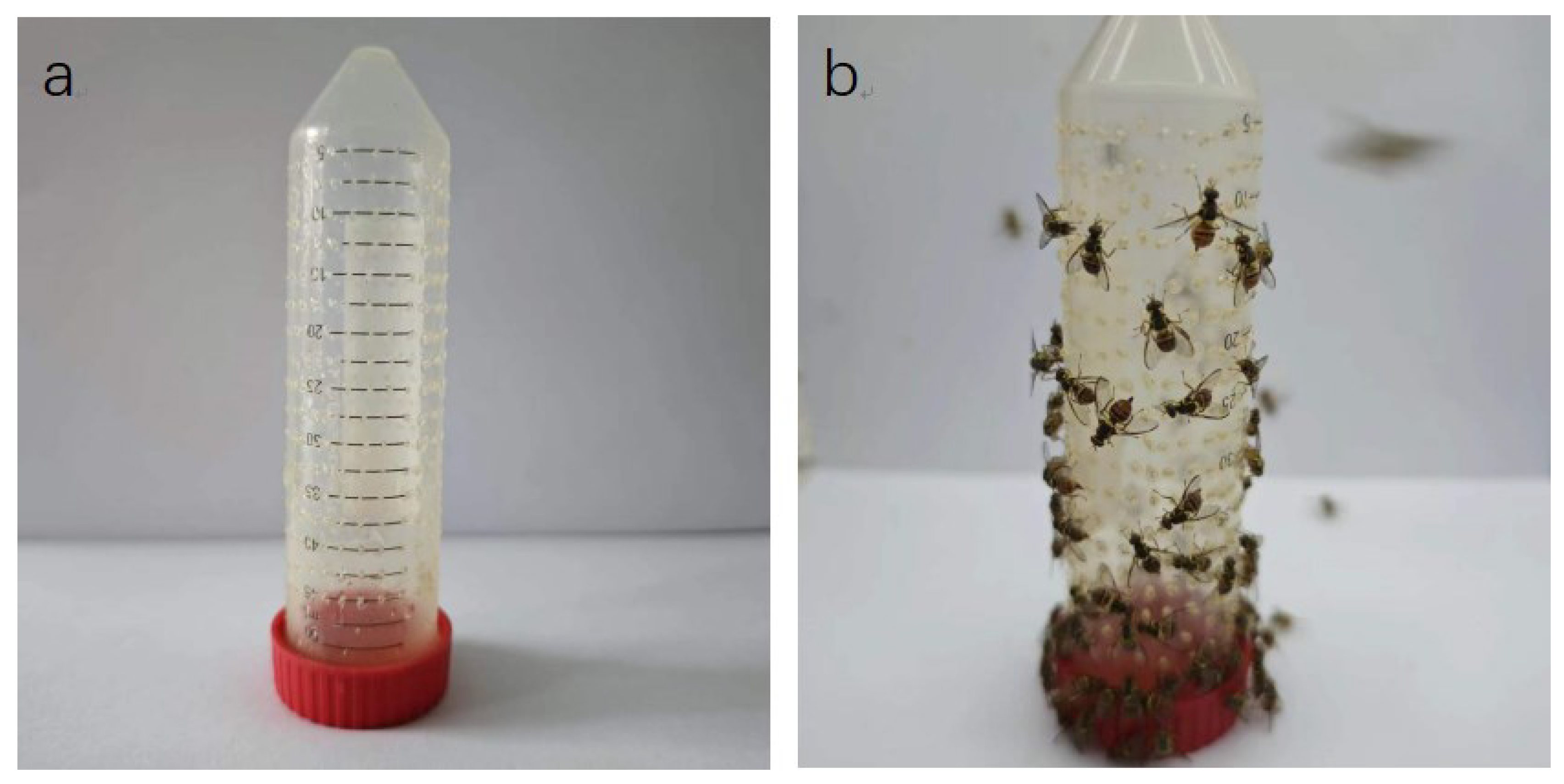 Preprints 103290 g001