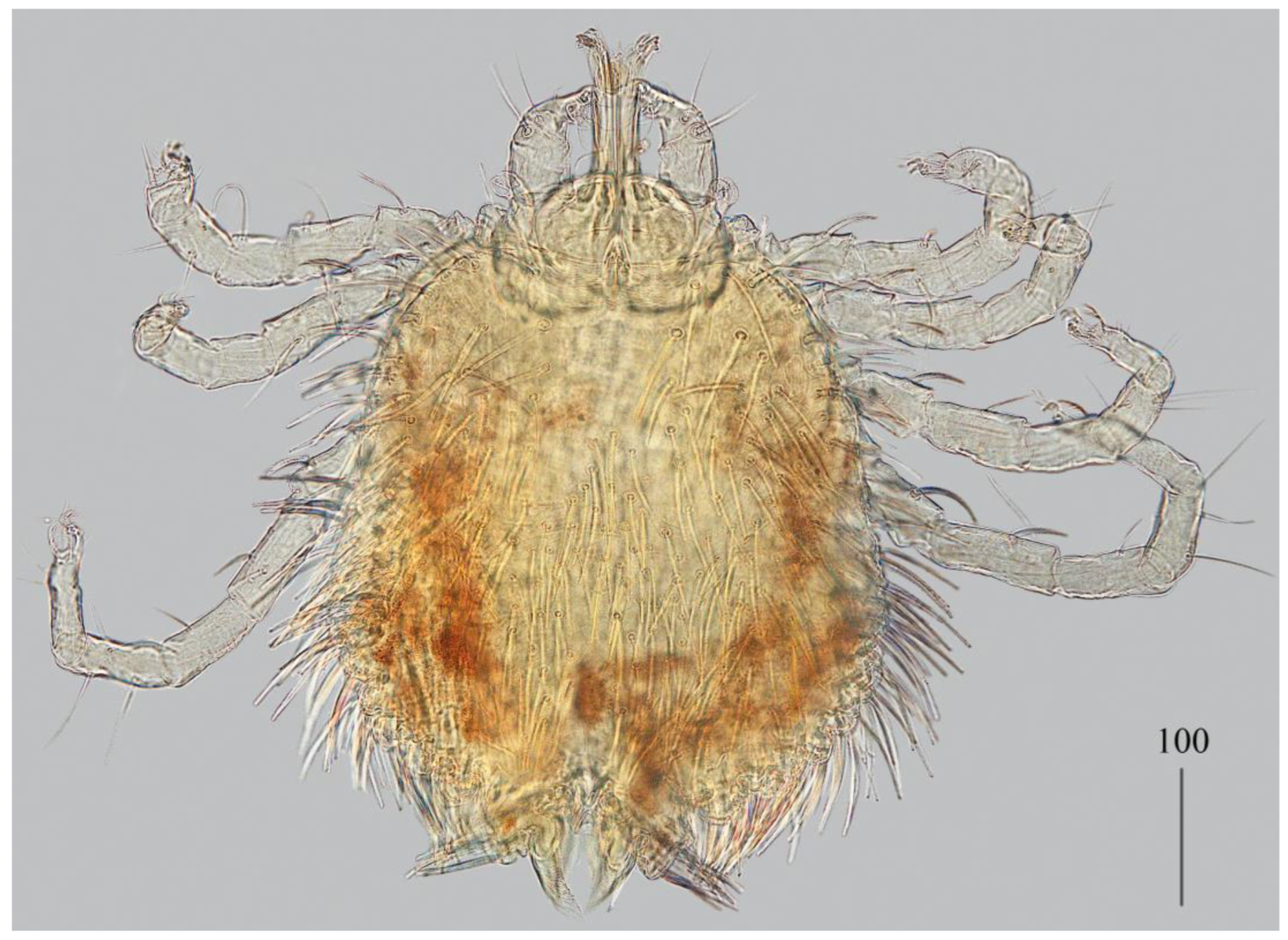 Preprints 180859 g001