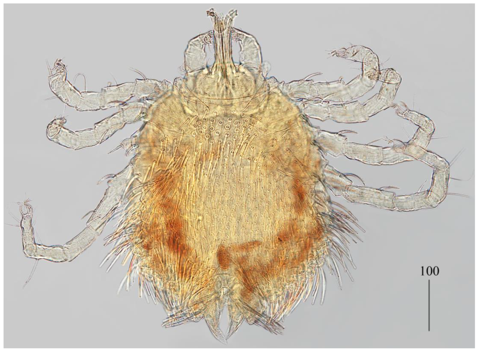 Preprints 180859 g002