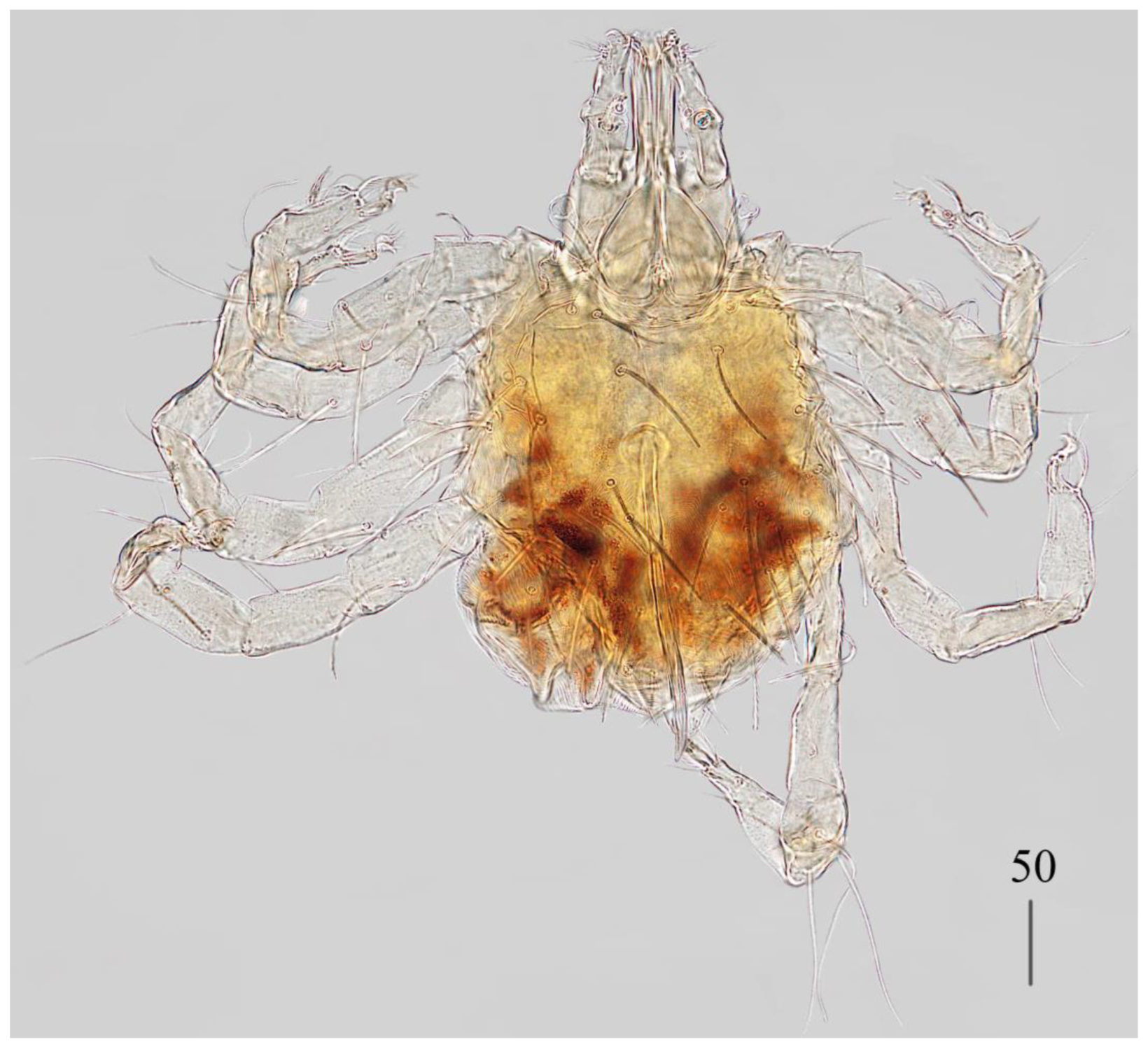 Preprints 180859 g003