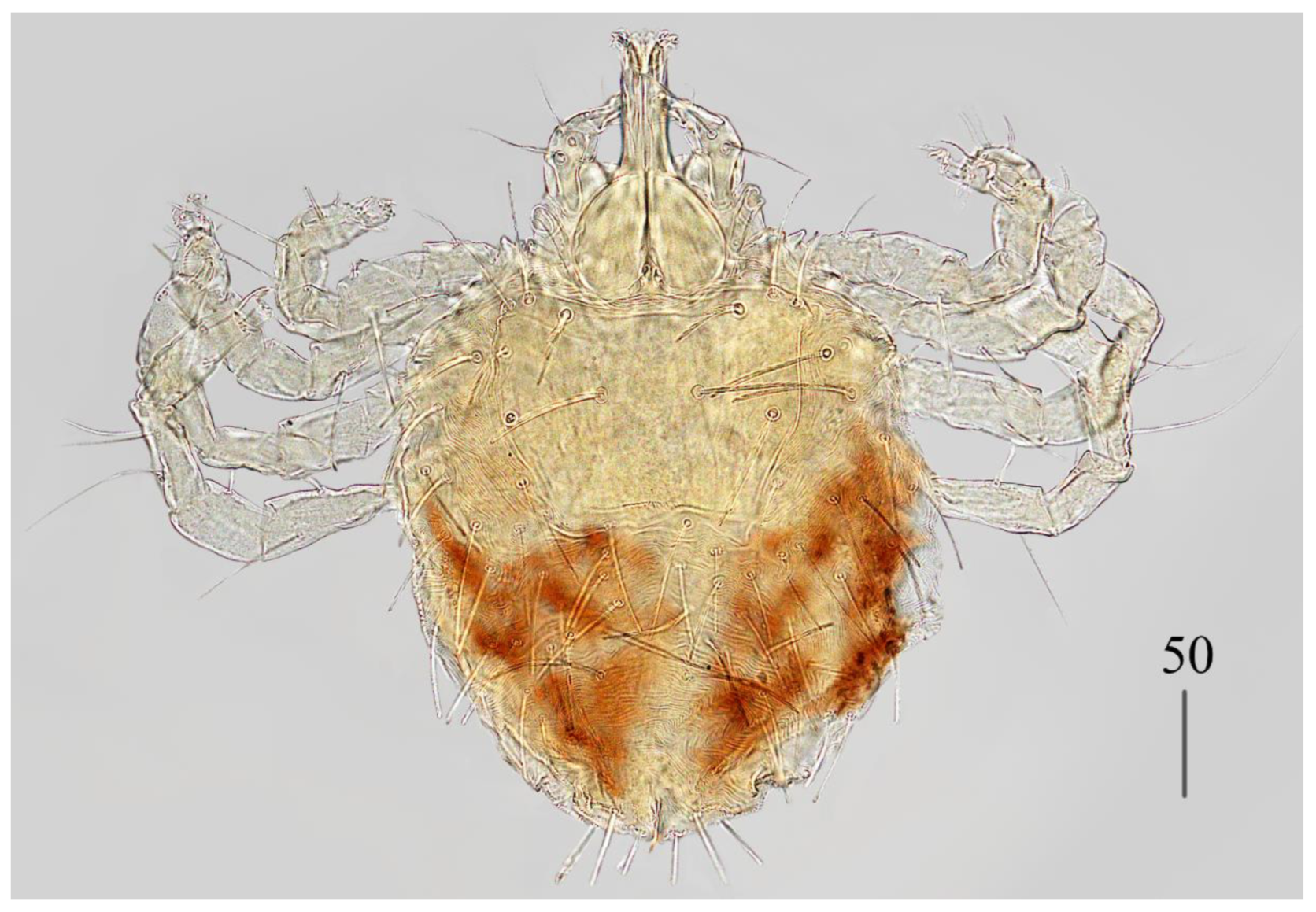 Preprints 180859 g004