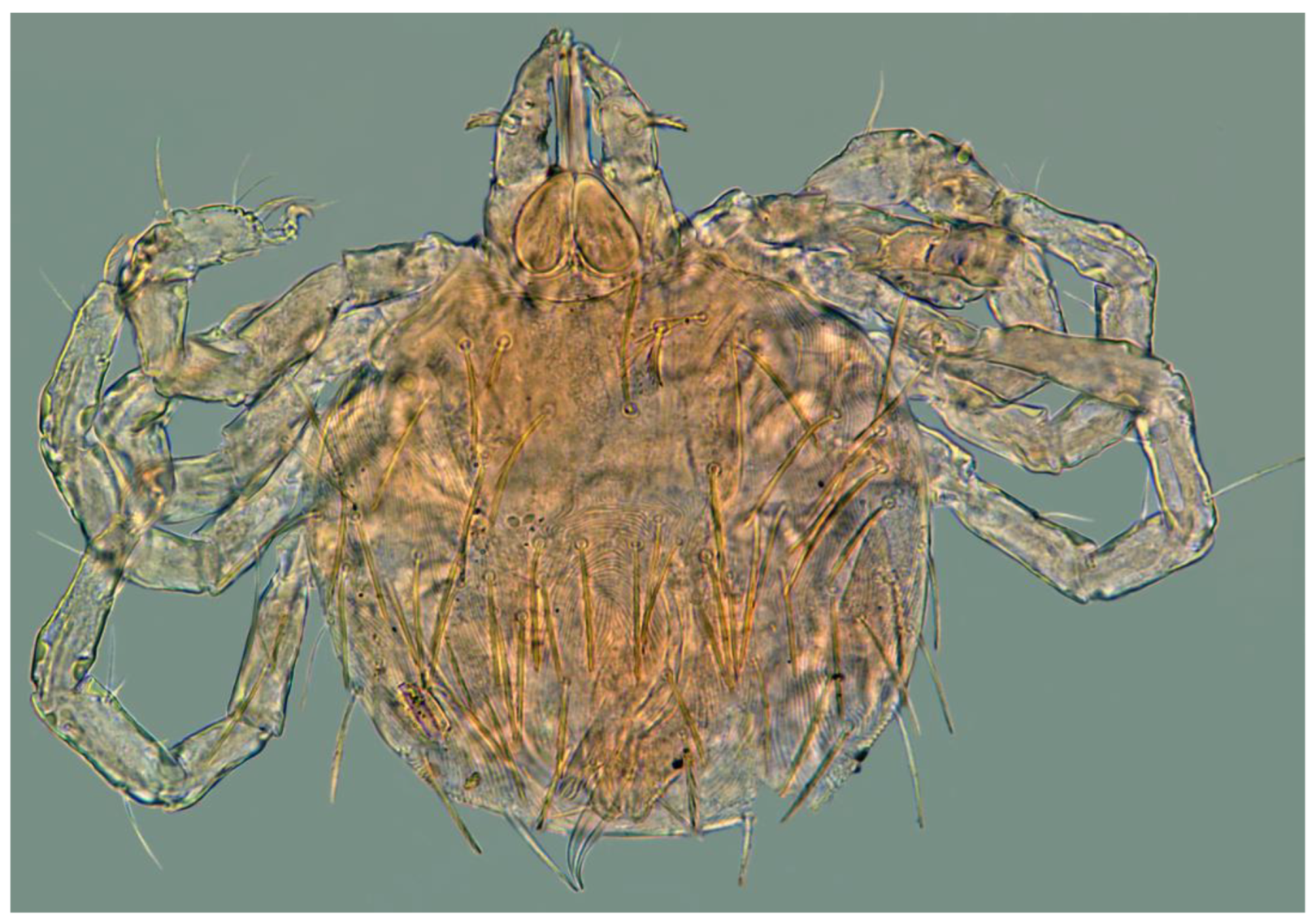 Preprints 180859 g007