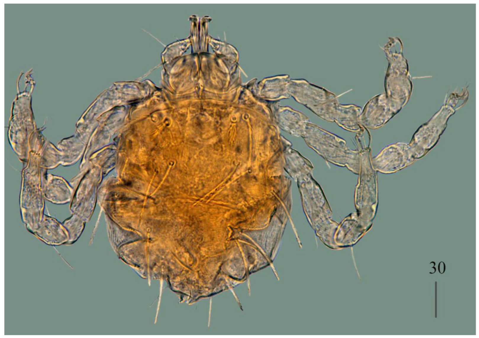 Preprints 180859 g008