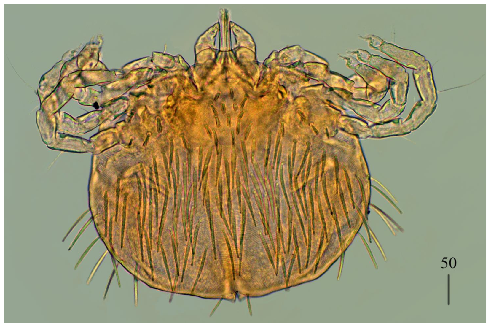 Preprints 180859 g010