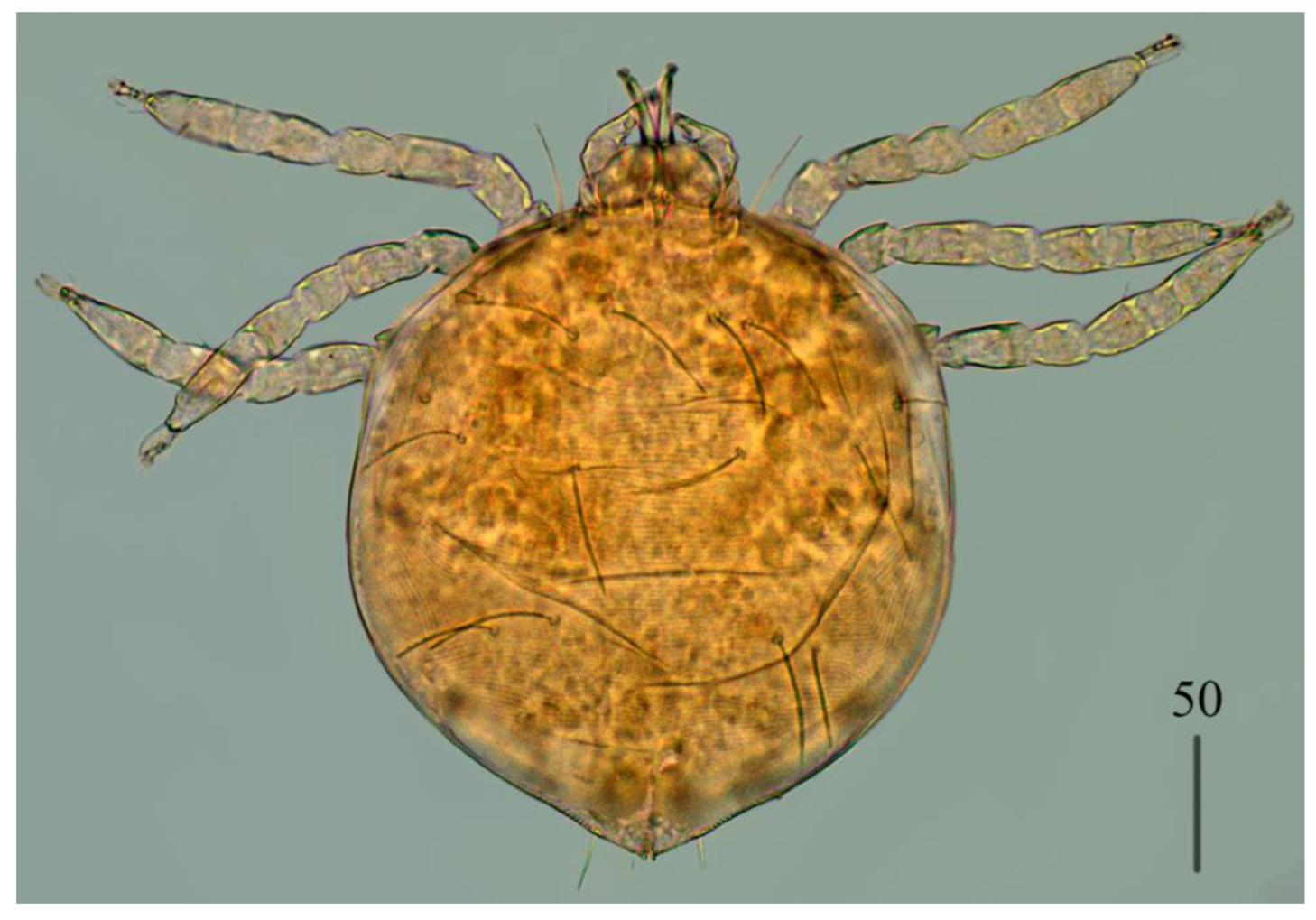 Preprints 180859 g011