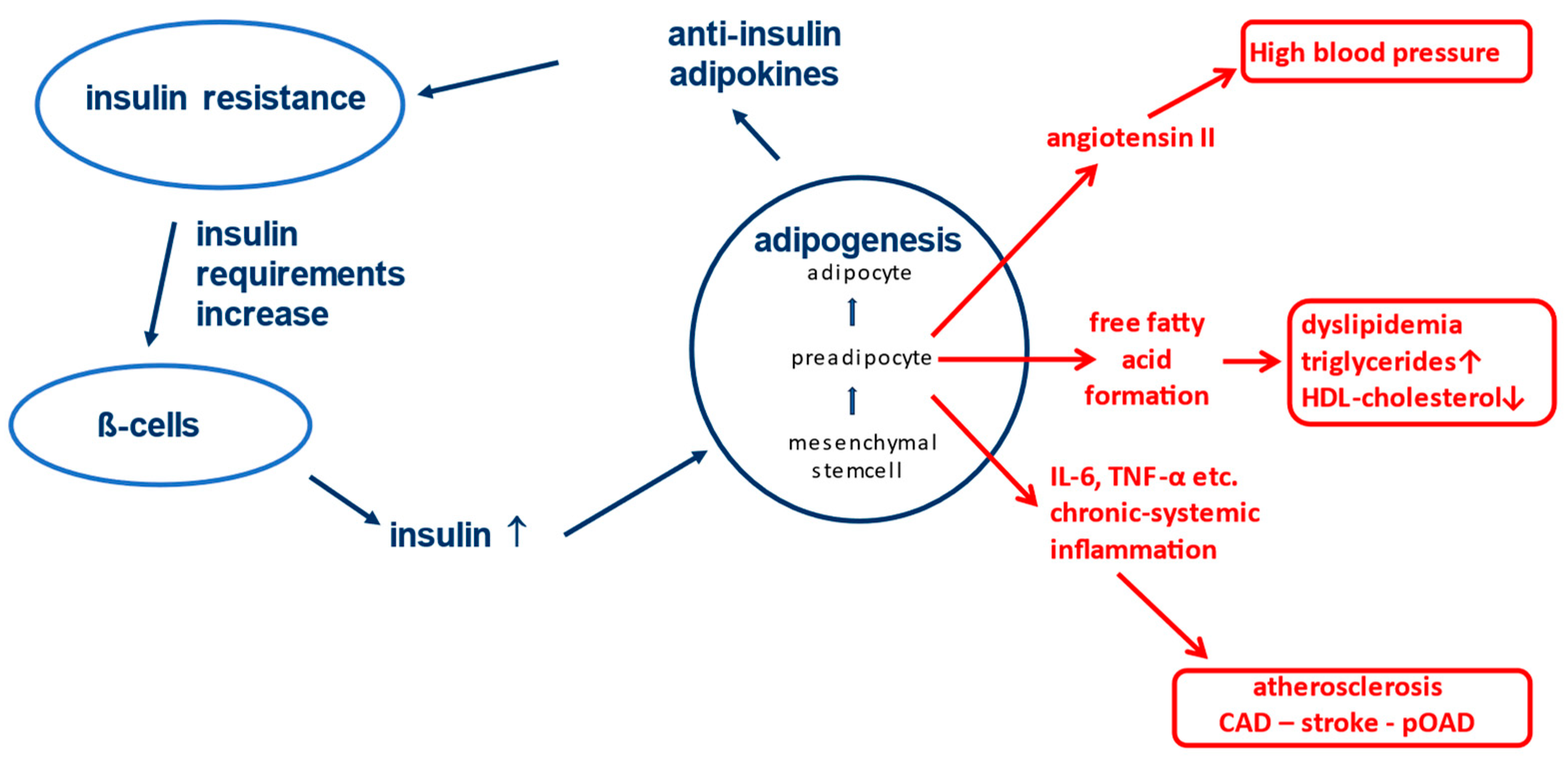 Preprints 183880 g001