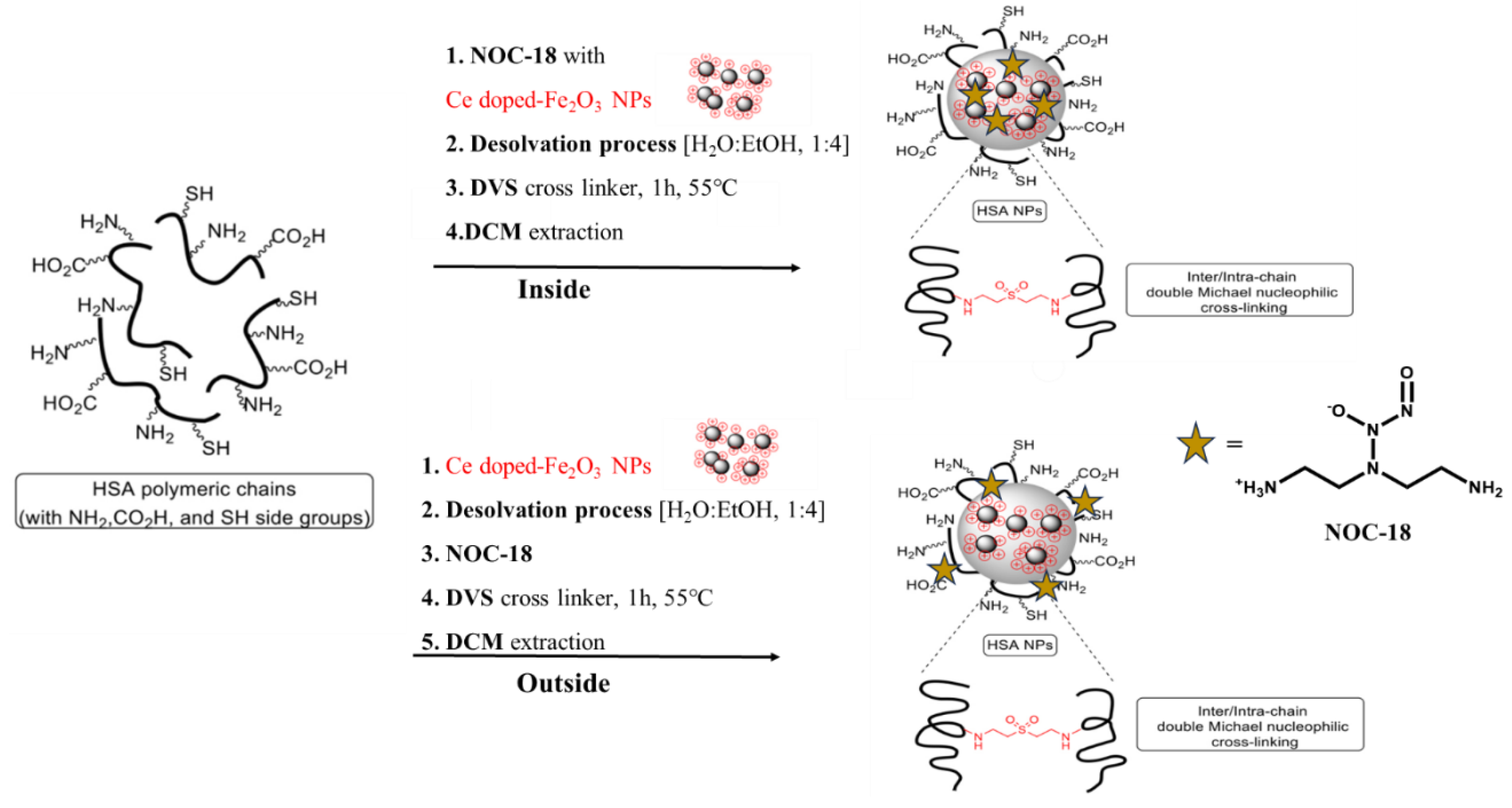 Preprints 143498 g001