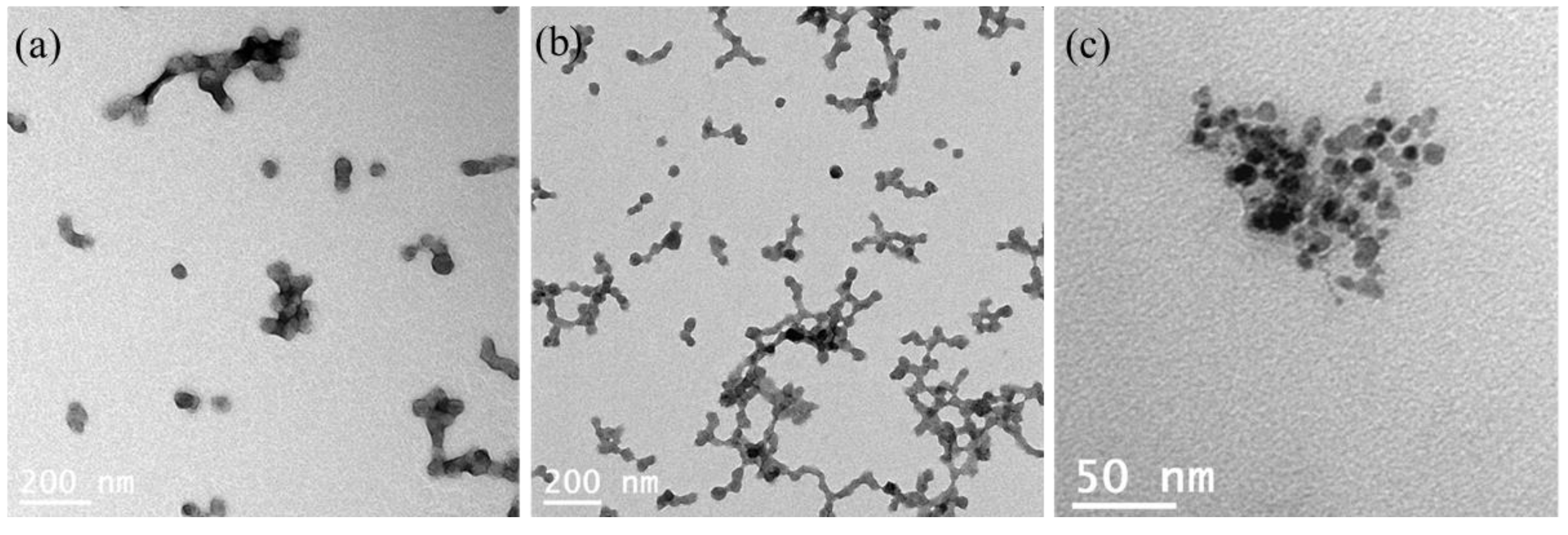 Preprints 143498 g006