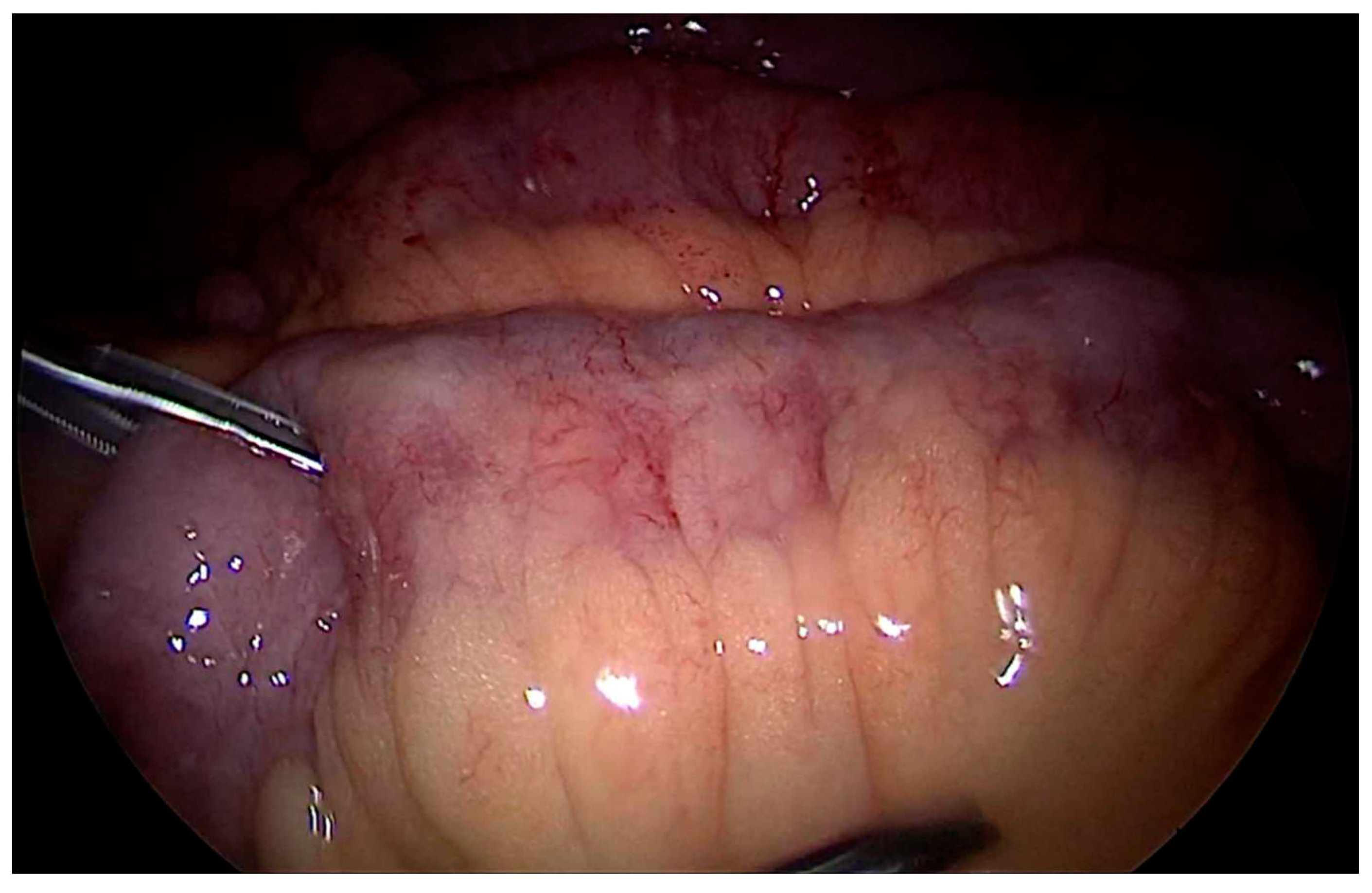 Preprints 82653 g001