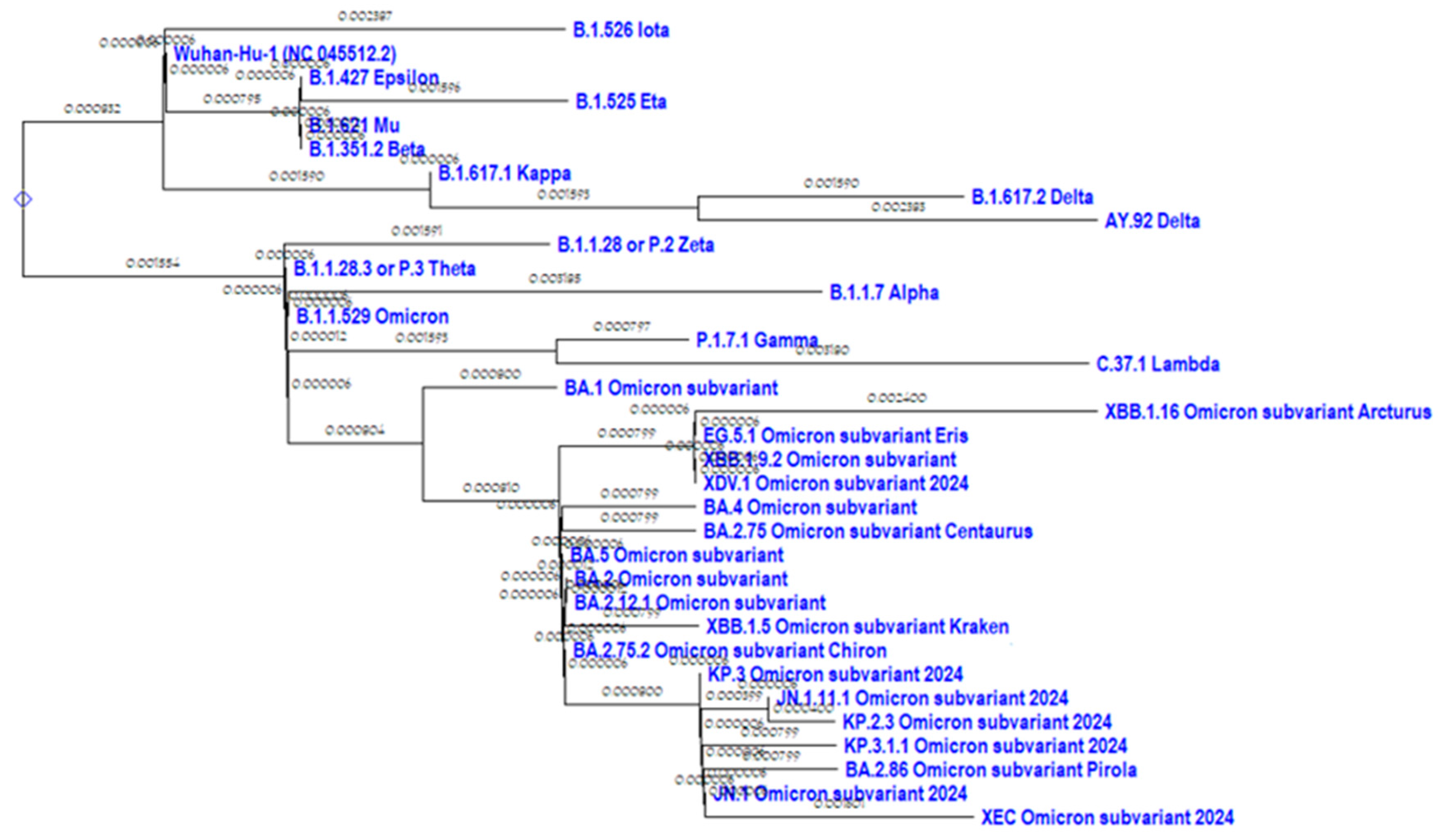 Preprints 151871 g001